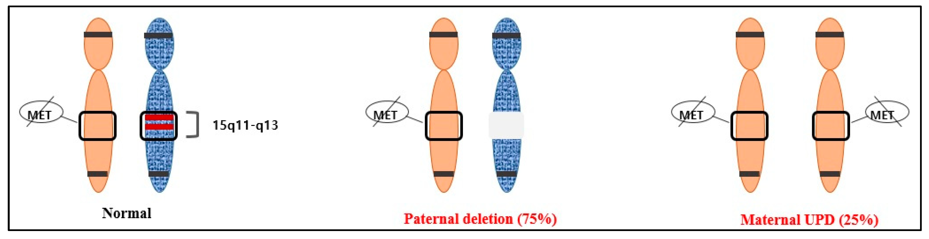 Diagnostics 13 00580 g002