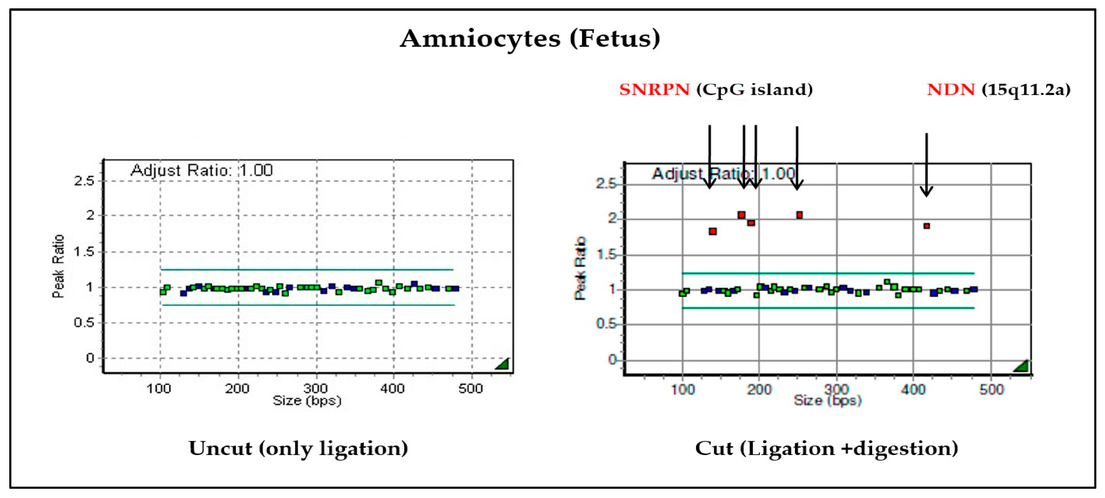 Diagnostics 13 00580 g004