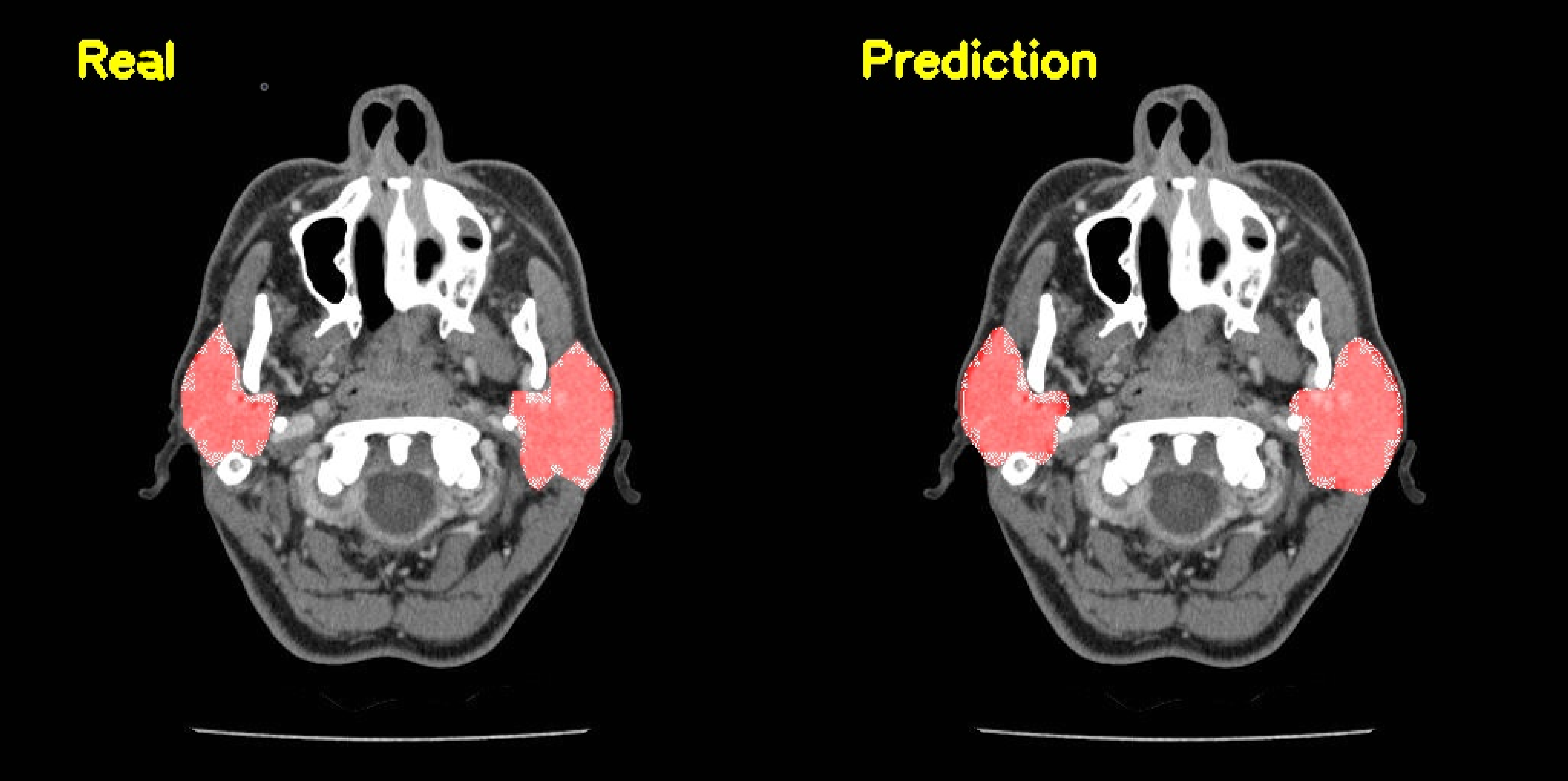 Diagnostics 13 00581 g002
