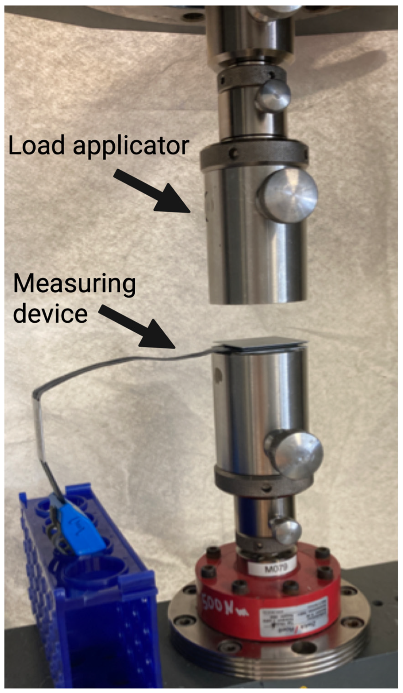 Diagnostics 13 00586 g002