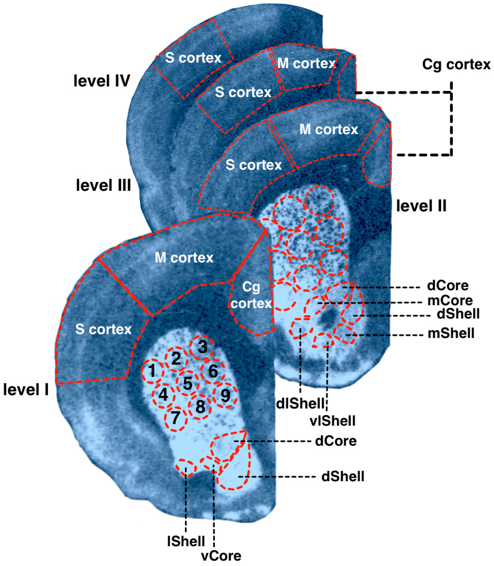 Diagnostics 13 00587 g002