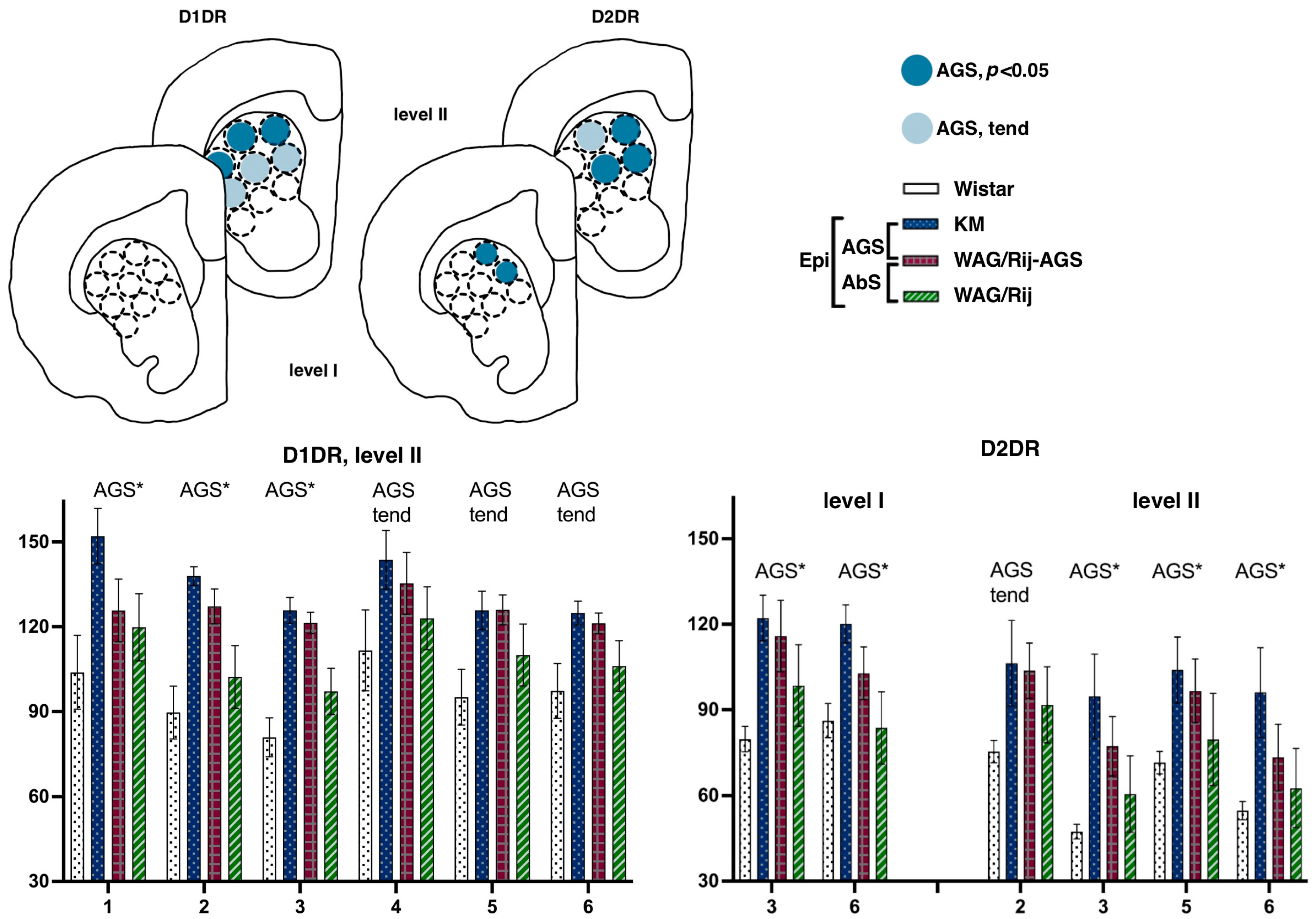 Diagnostics 13 00587 g004