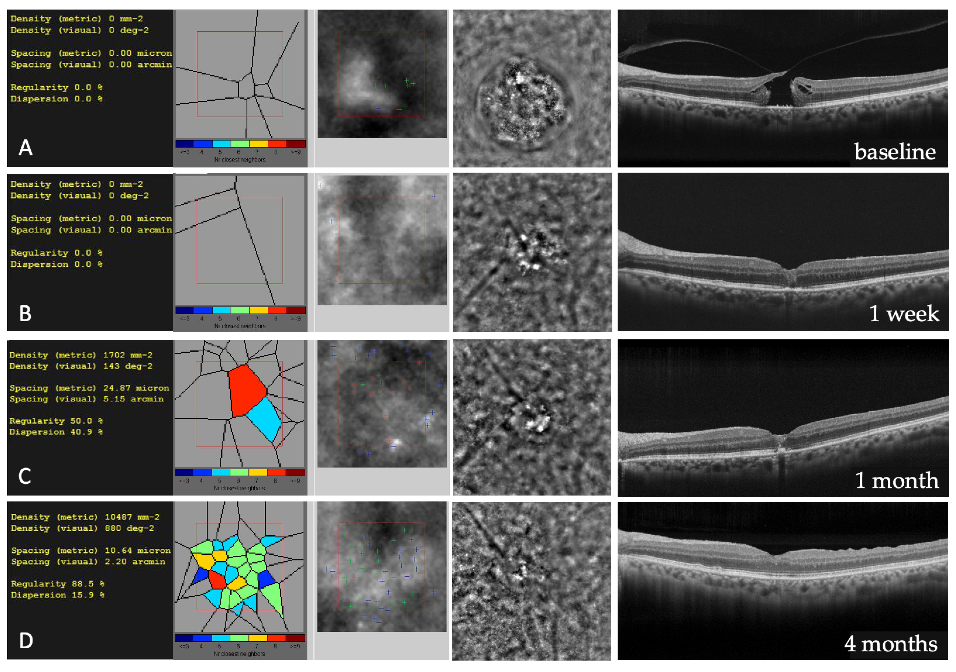 Diagnostics 13 00589 g010