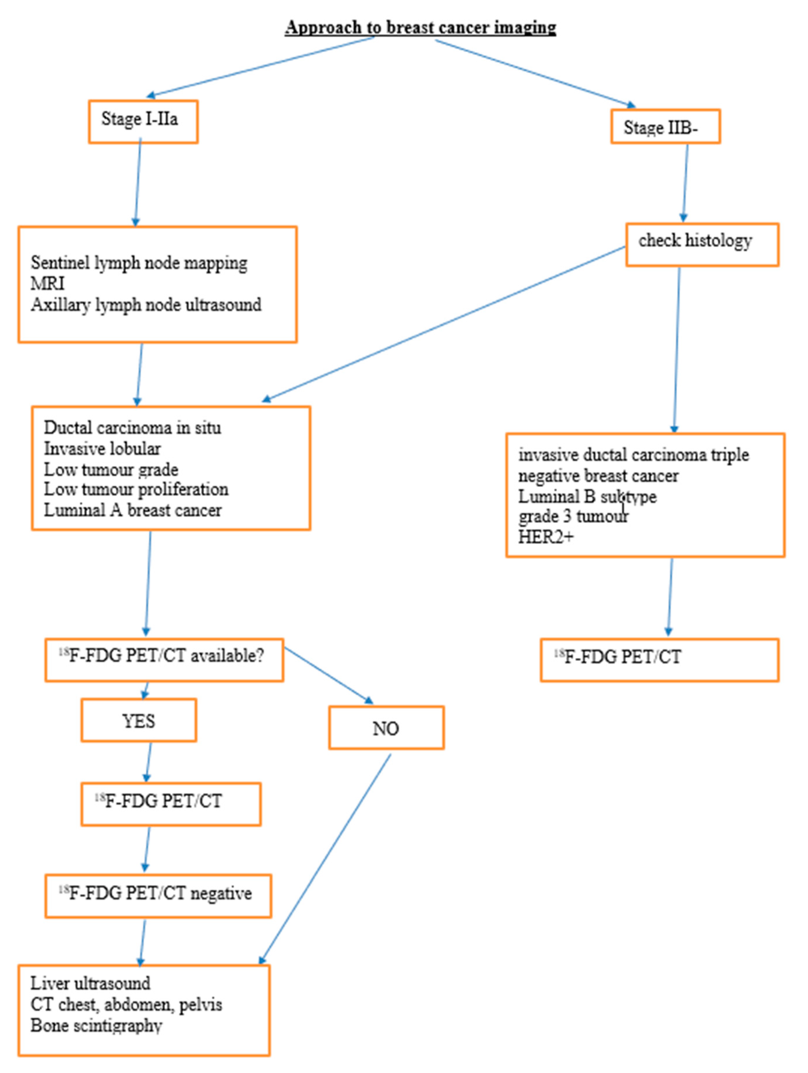 Diagnostics 13 00597 g001 Diagnostics 13 00597 g001