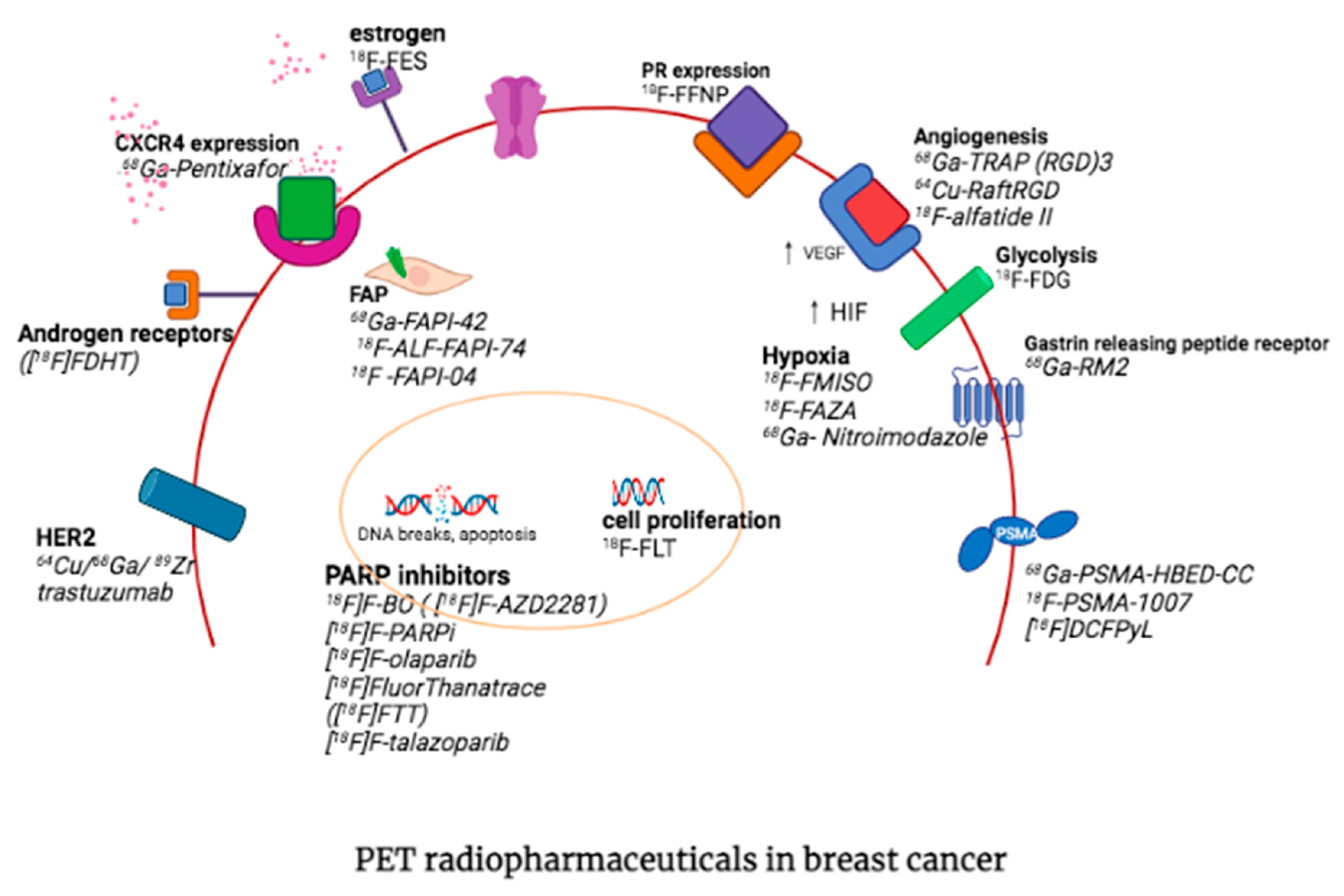 Diagnostics 13 00597 g006 Diagnostics 13 00597 g006