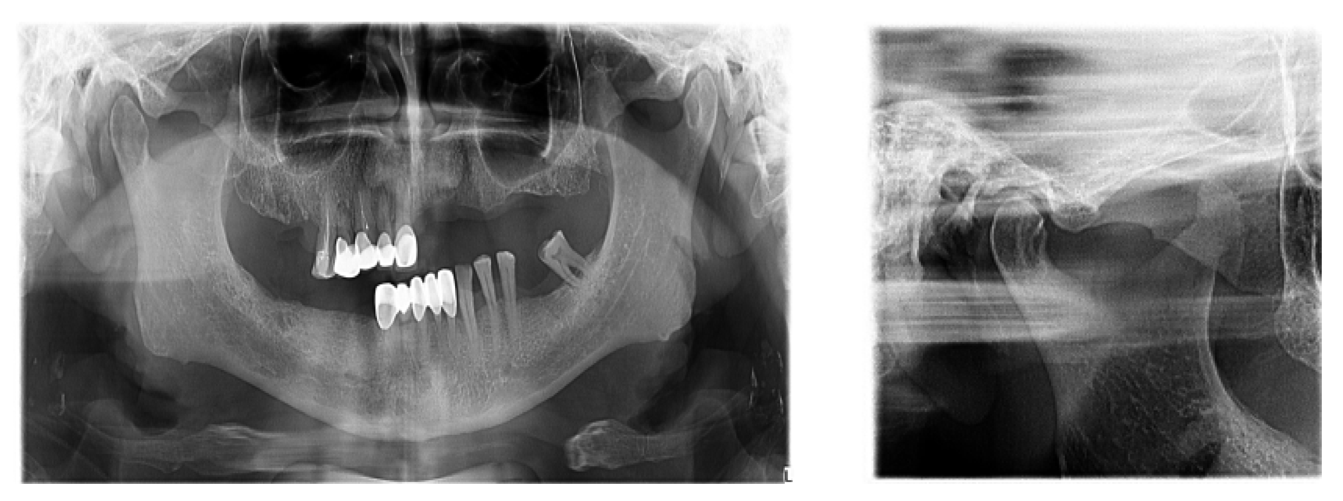 Diagnostics 13 00598 g005