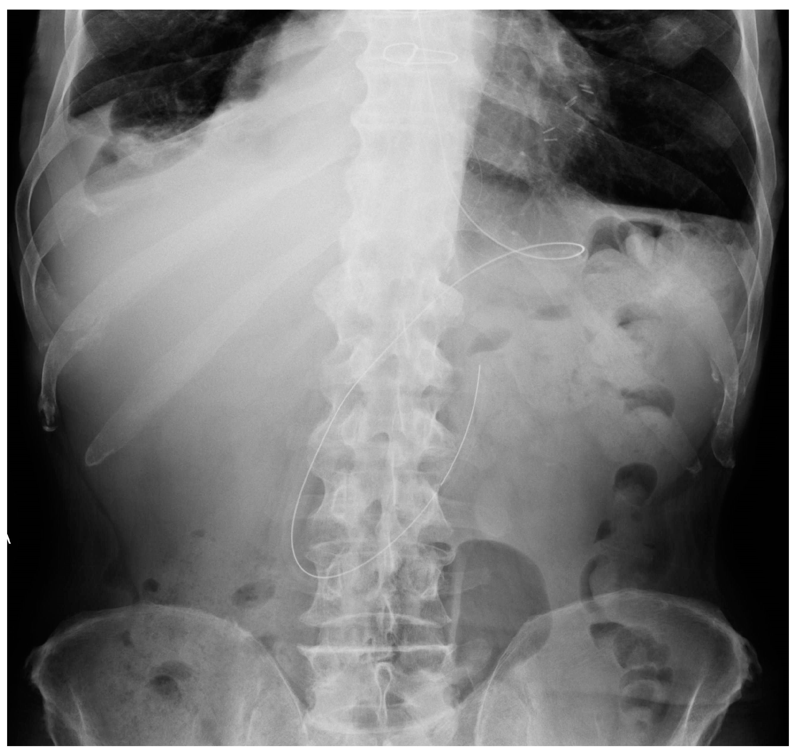 Diagnostics 13 00599 g024 Diagnostics 13 00599 g024