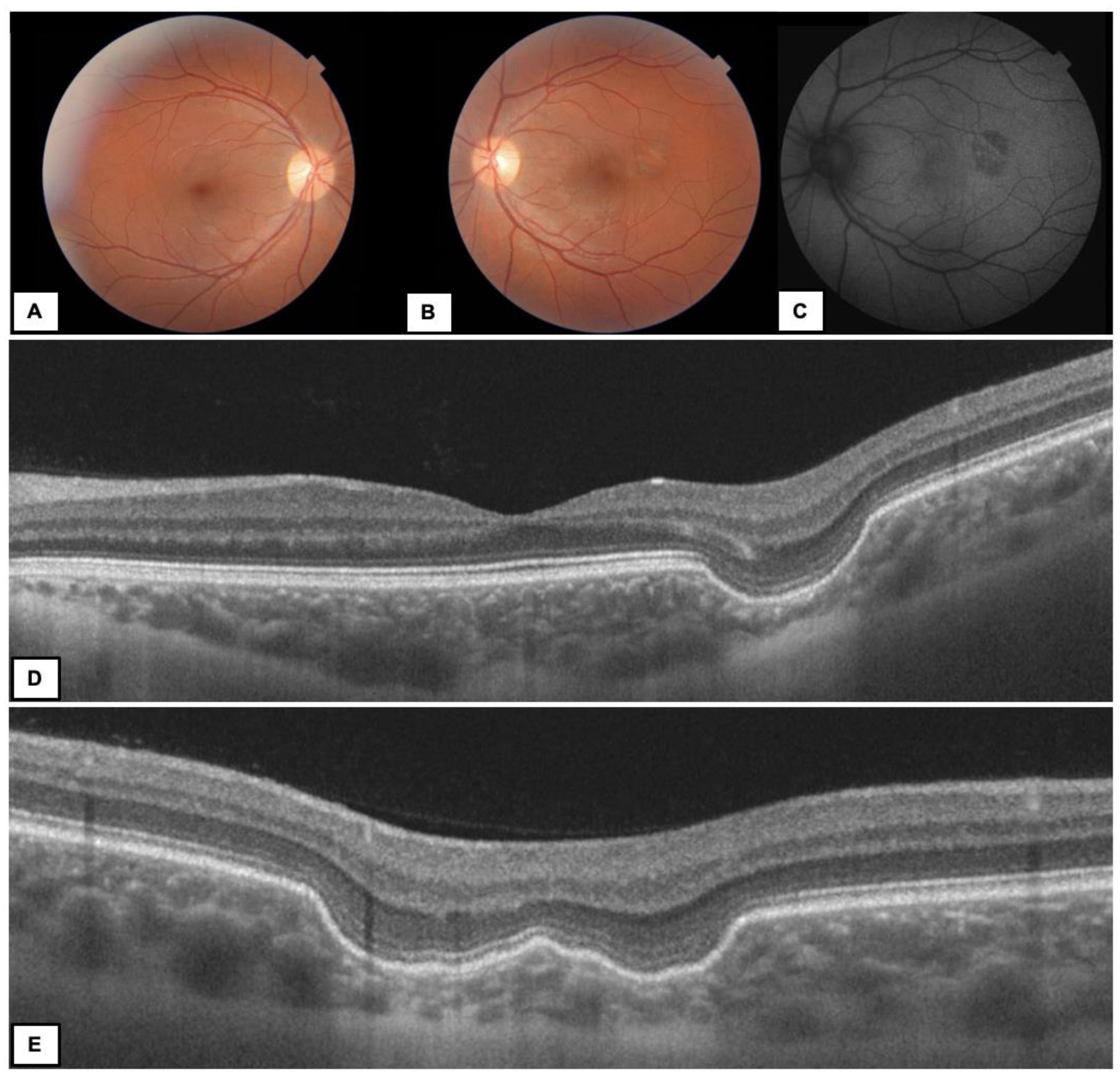 Diagnostics 13 00602 g002