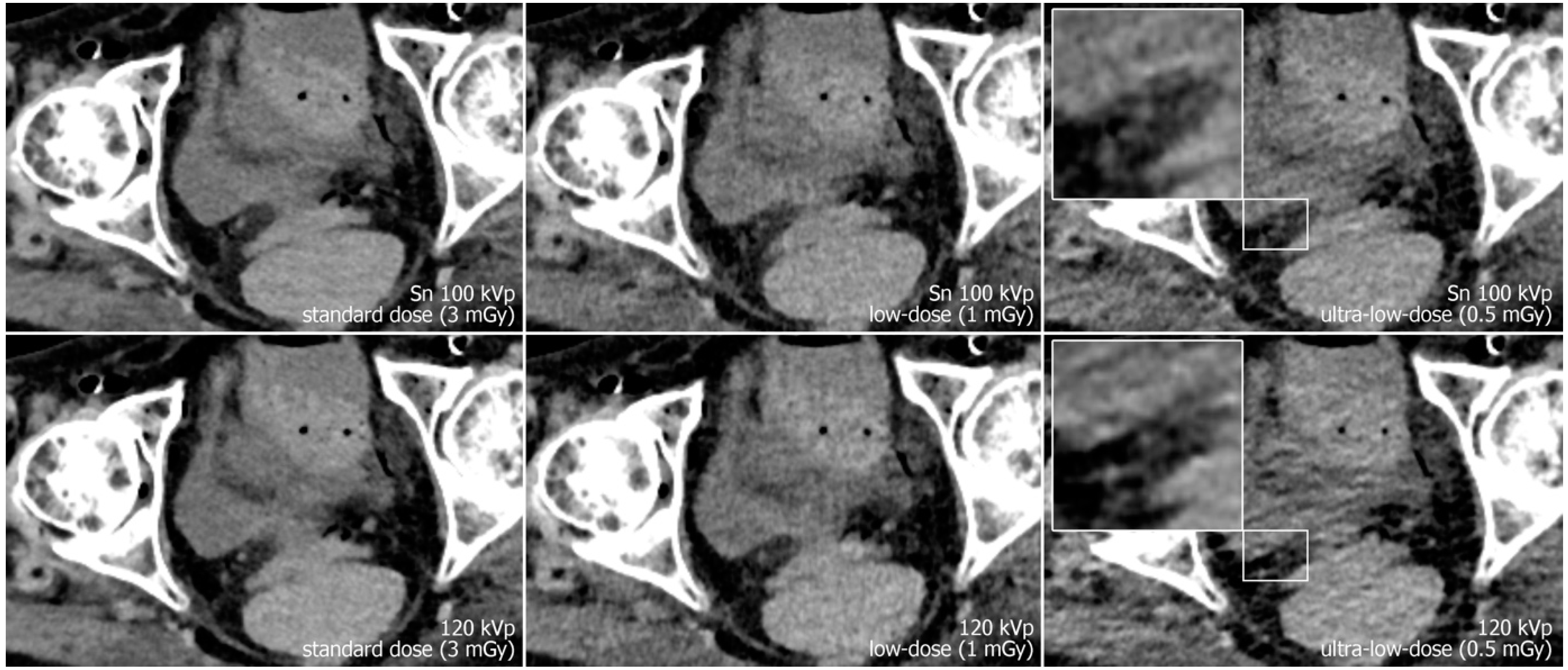 Diagnostics 13 00603 g002