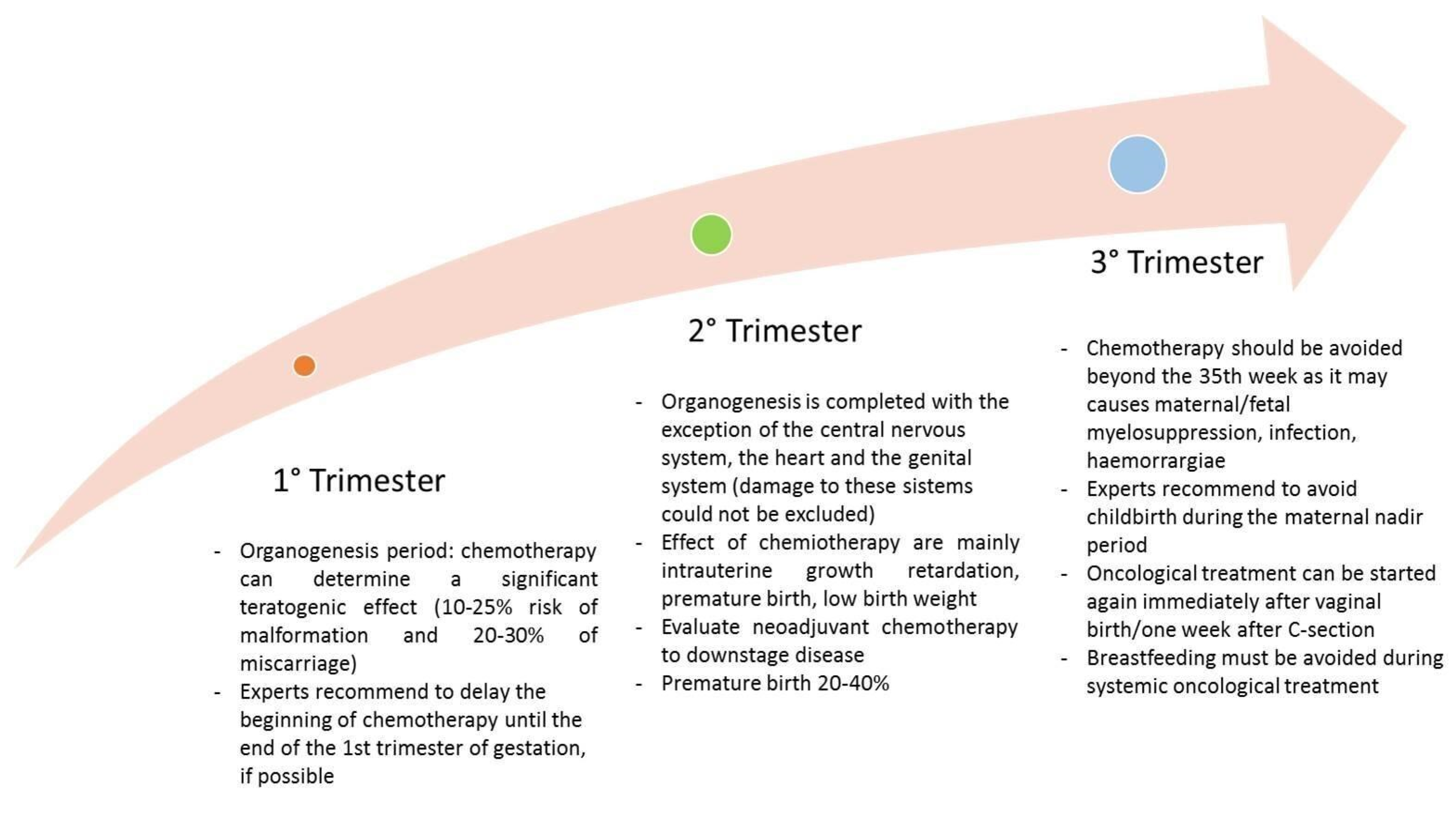 Diagnostics 13 00604 g005