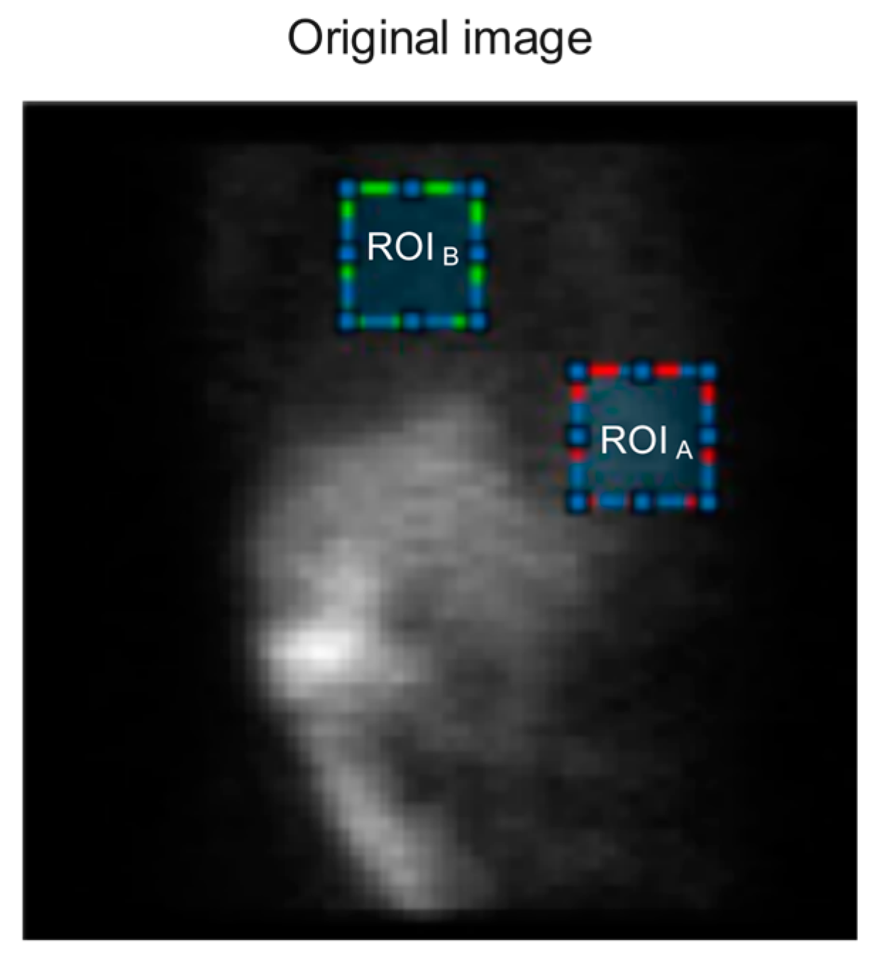 Diagnostics 13 00611 g004