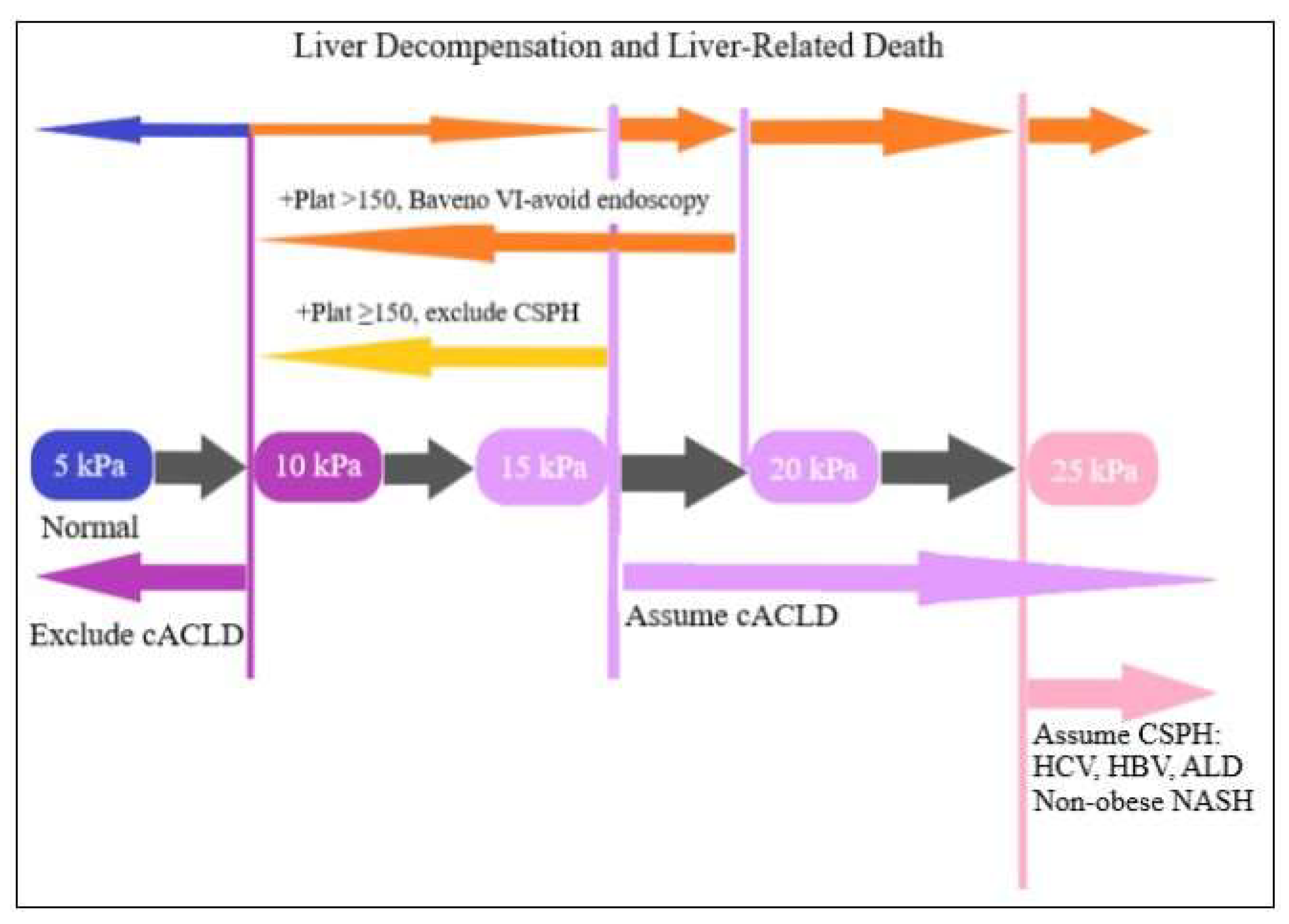 Diagnostics 13 00614 g001 Diagnostics 13 00614 g001