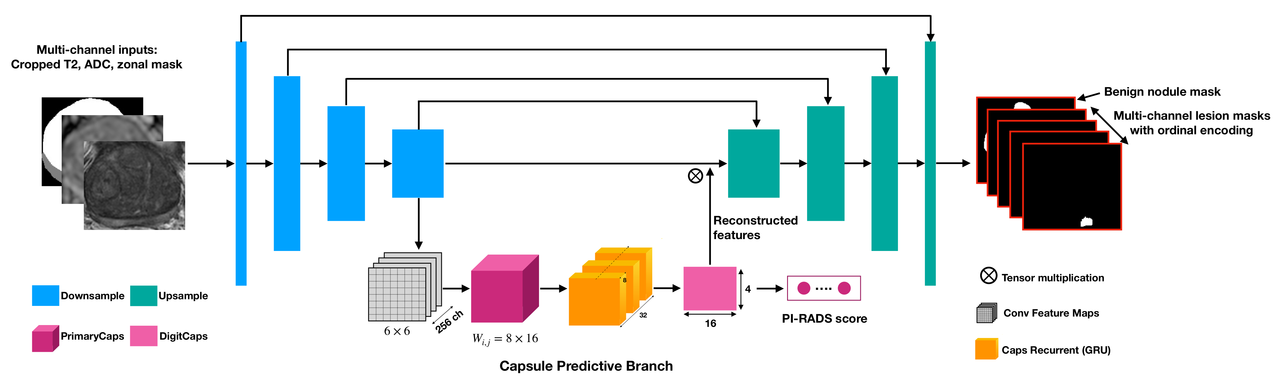 Diagnostics 13 00615 g002