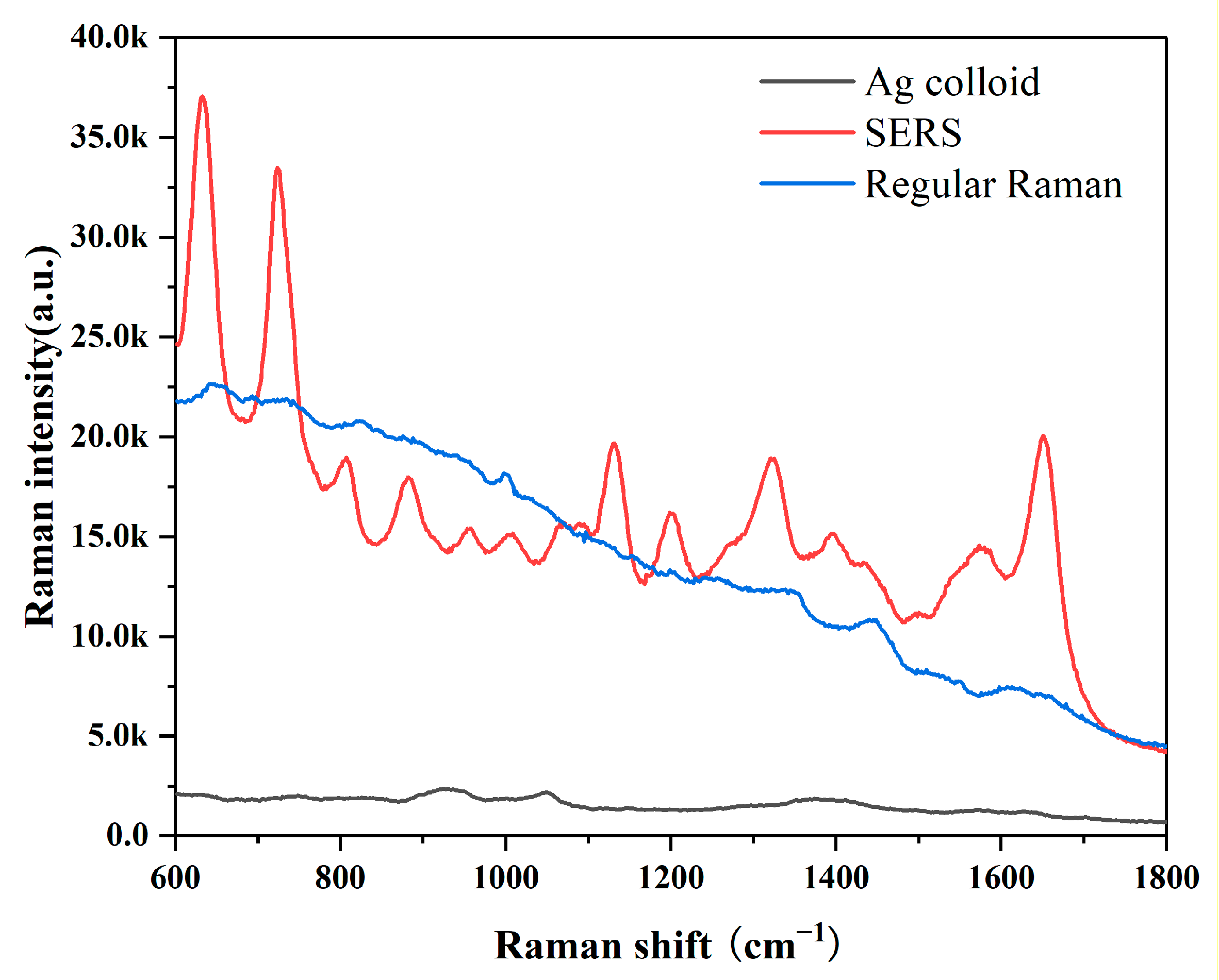 Diagnostics 13 00619 g001