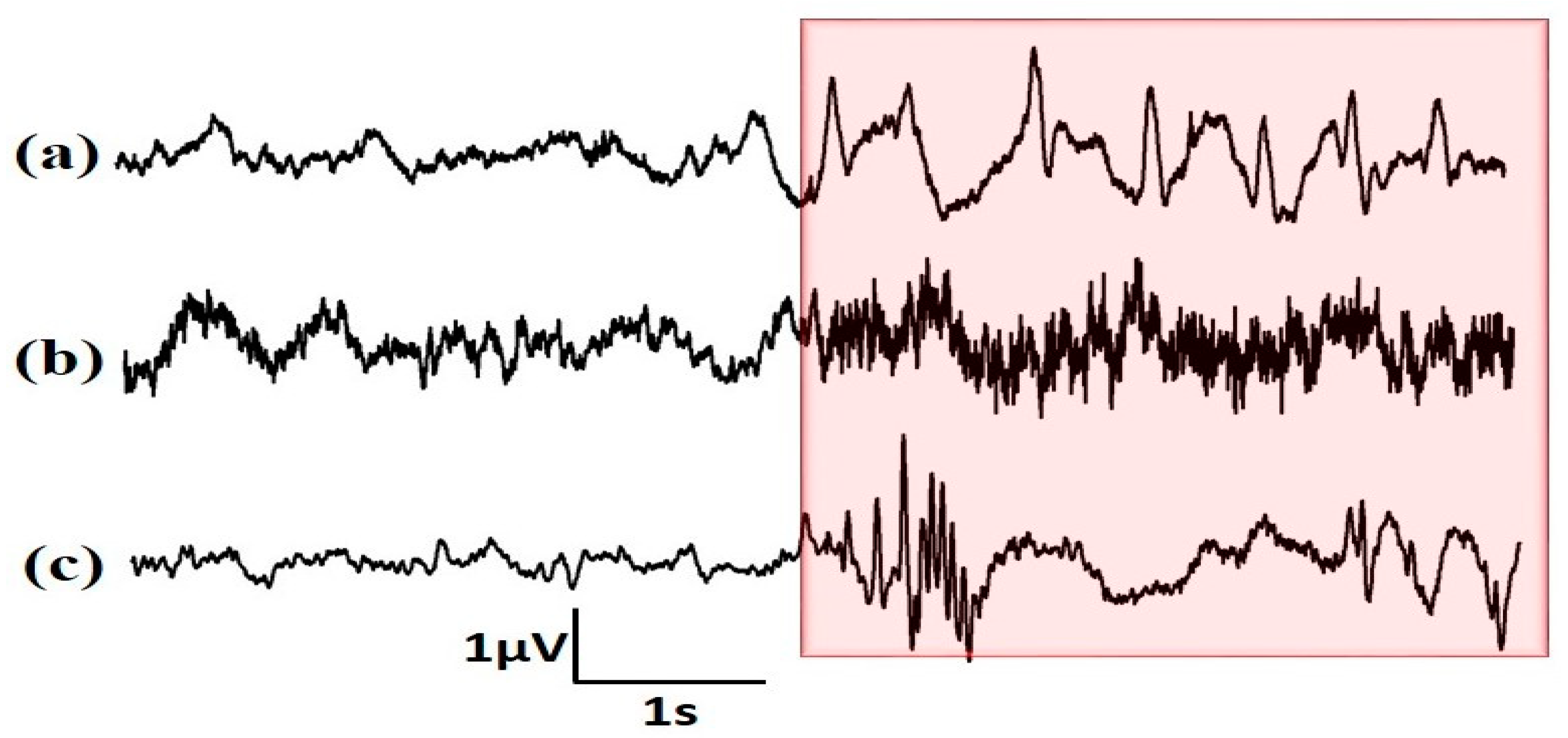 Diagnostics 13 00621 g003