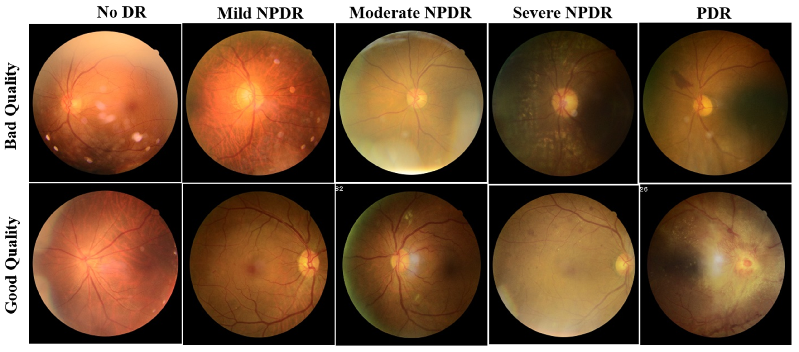 Diagnostics 13 00622 g001 Diagnostics 13 00622 g001