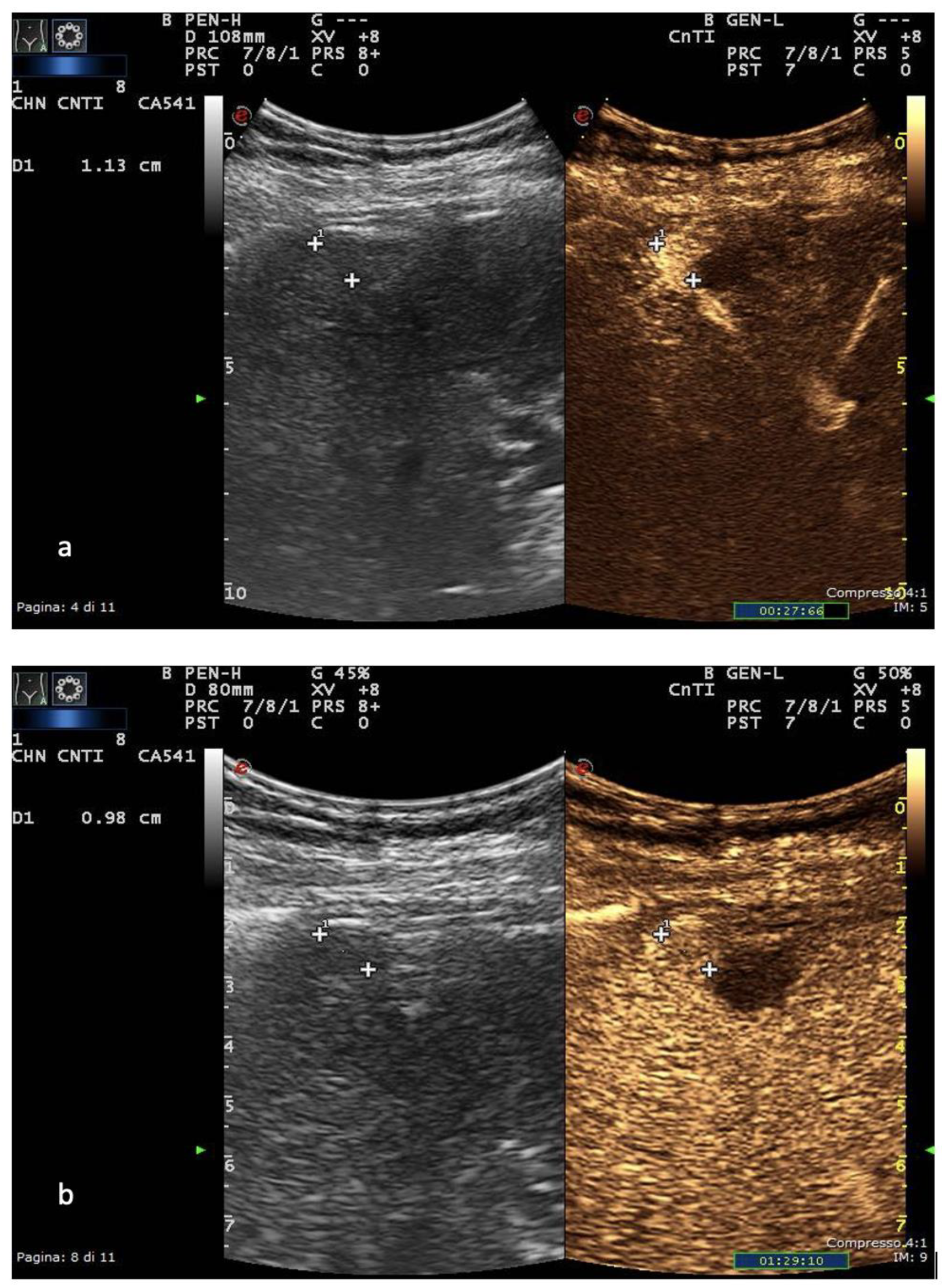 Diagnostics 13 00625 g001