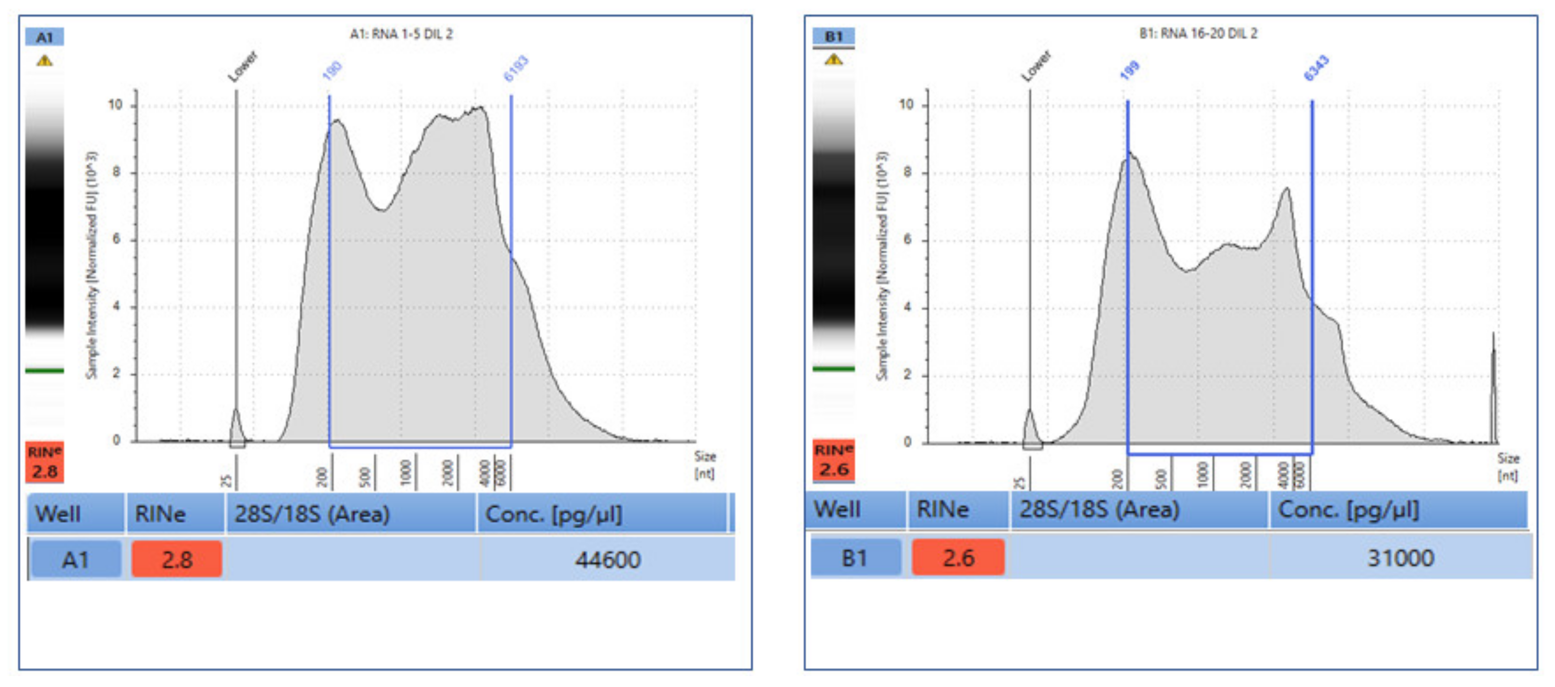 Diagnostics 13 00629 g002