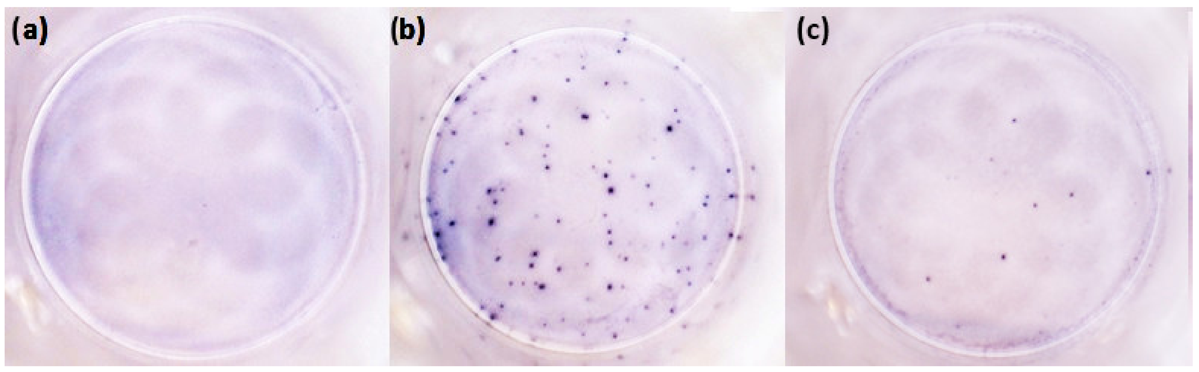 Diagnostics 13 00637 g001