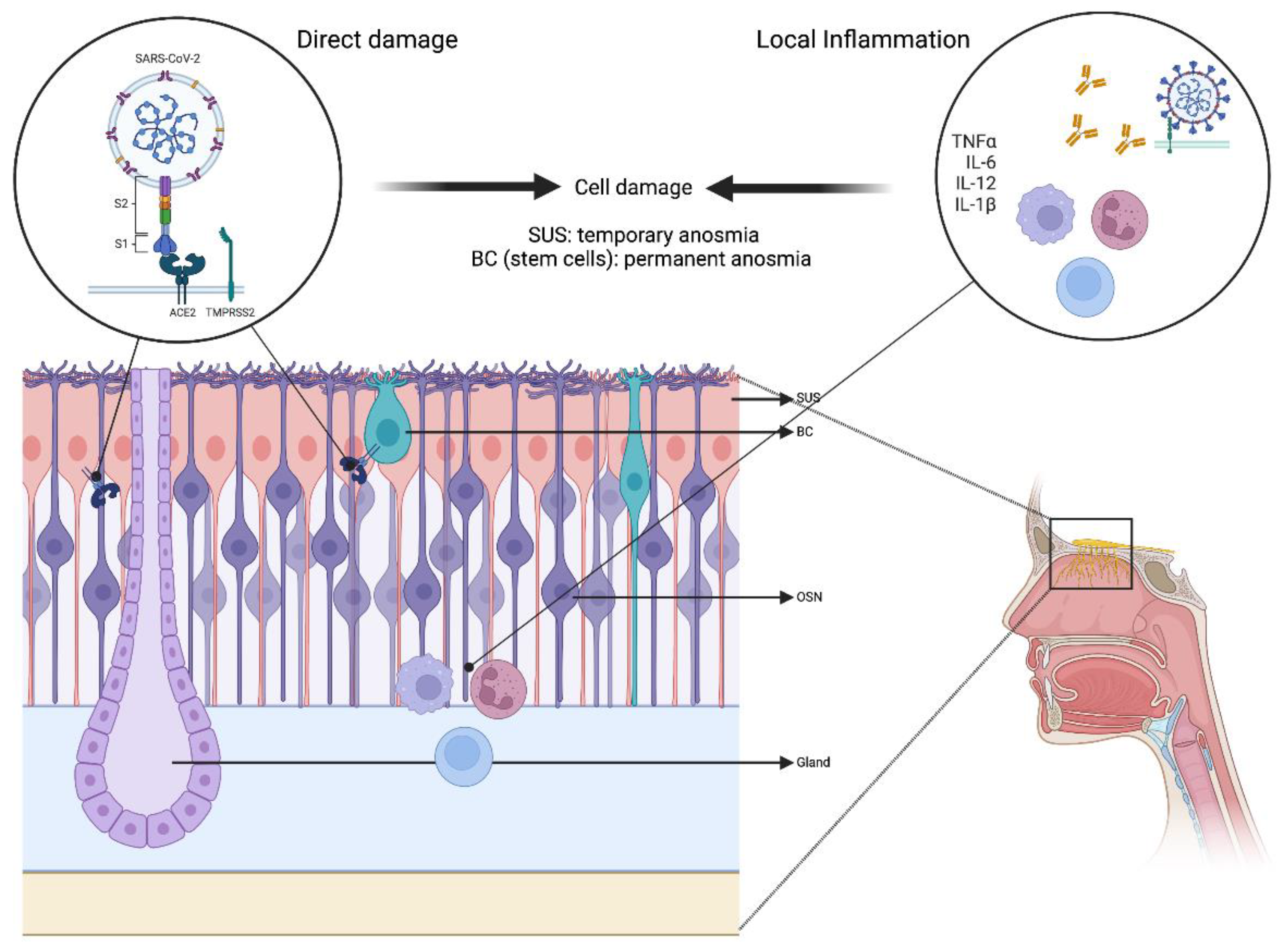 Diagnostics 13 00641 g001