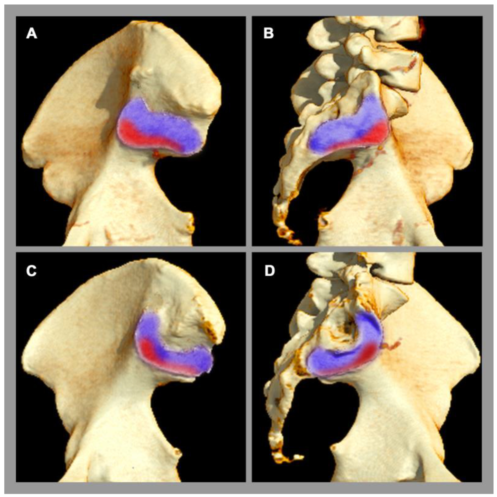 Diagnostics 13 00642 g003