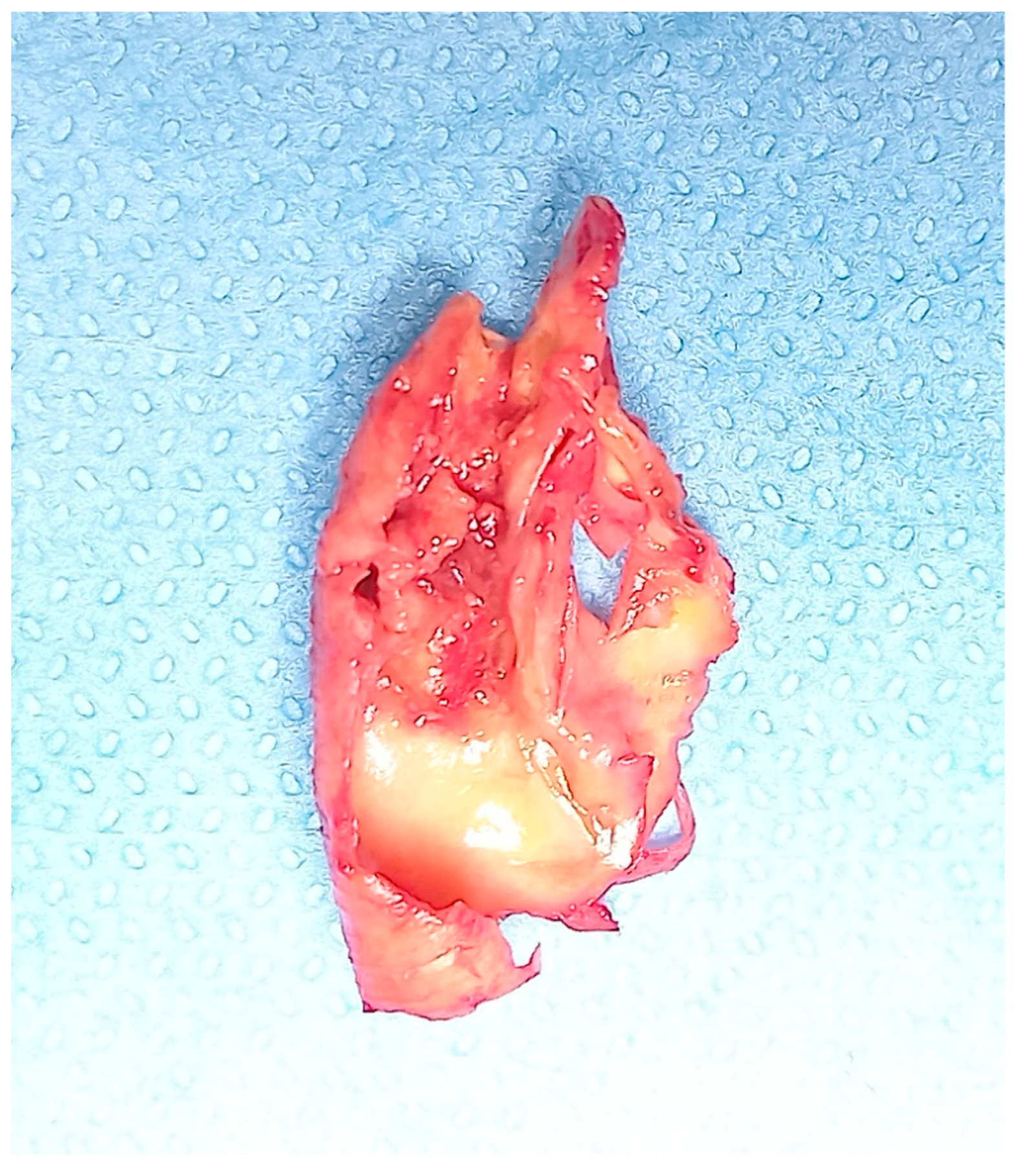 Diagnostics 13 00644 g002 Diagnostics 13 00644 g002