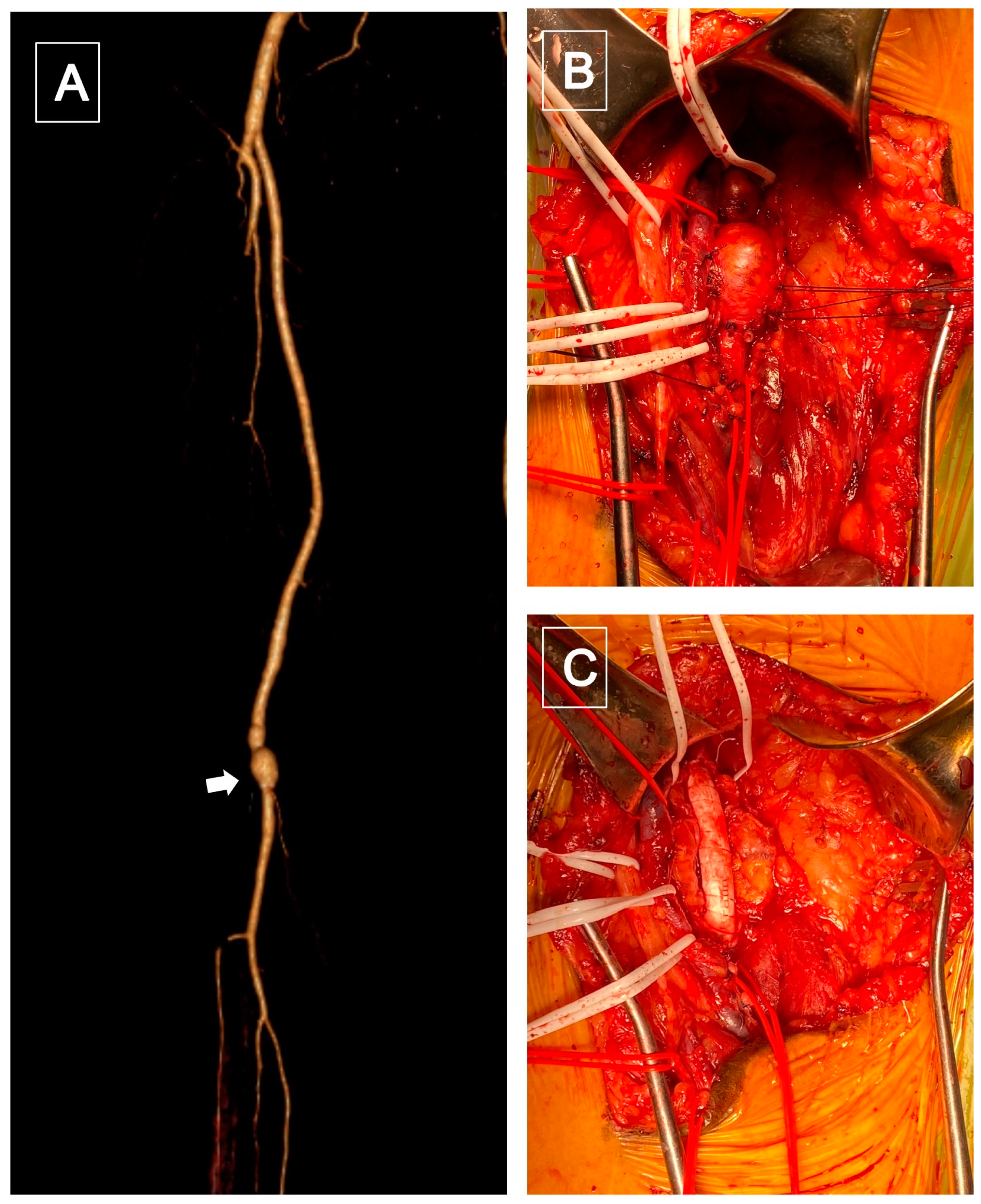 Diagnostics 13 00647 g001