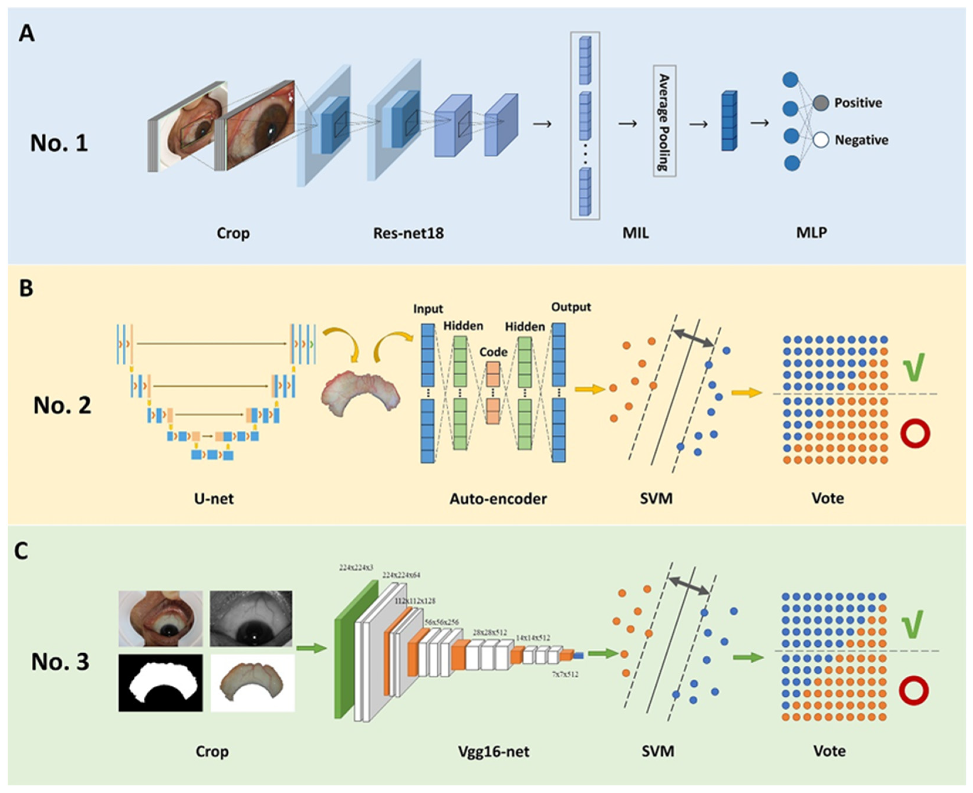 Diagnostics 13 00648 g003
