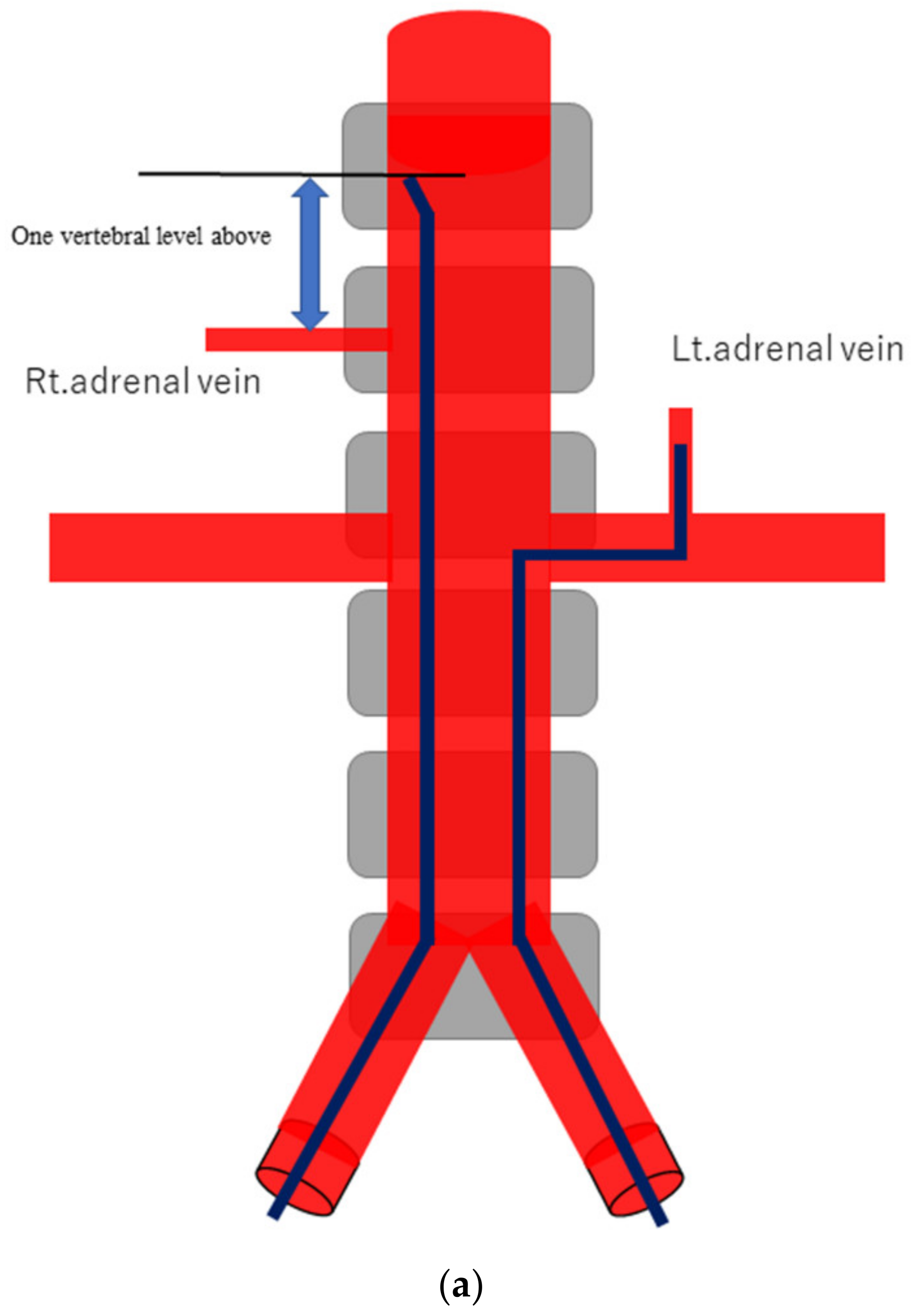 Diagnostics 13 00649 g001a