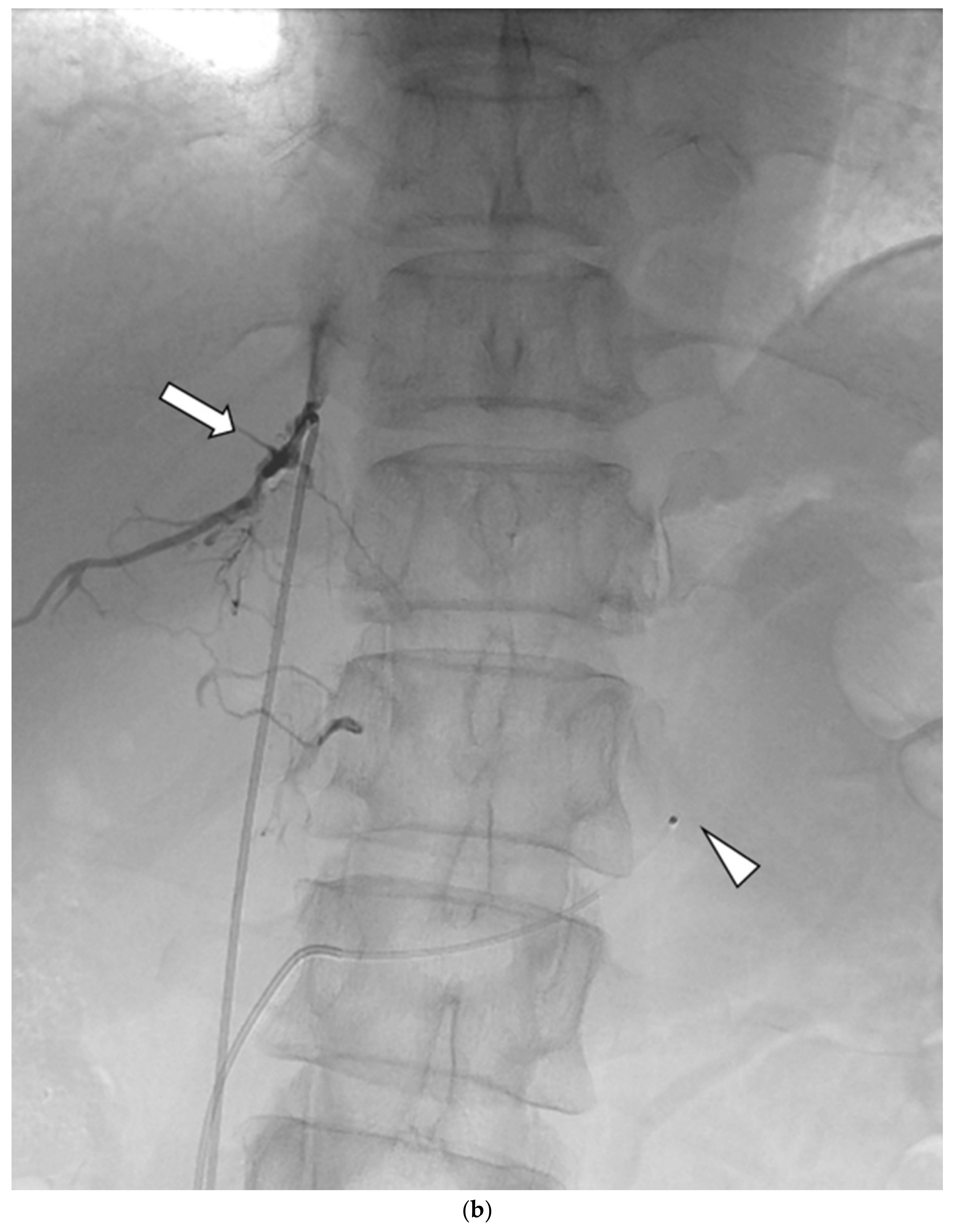 Diagnostics 13 00649 g001b