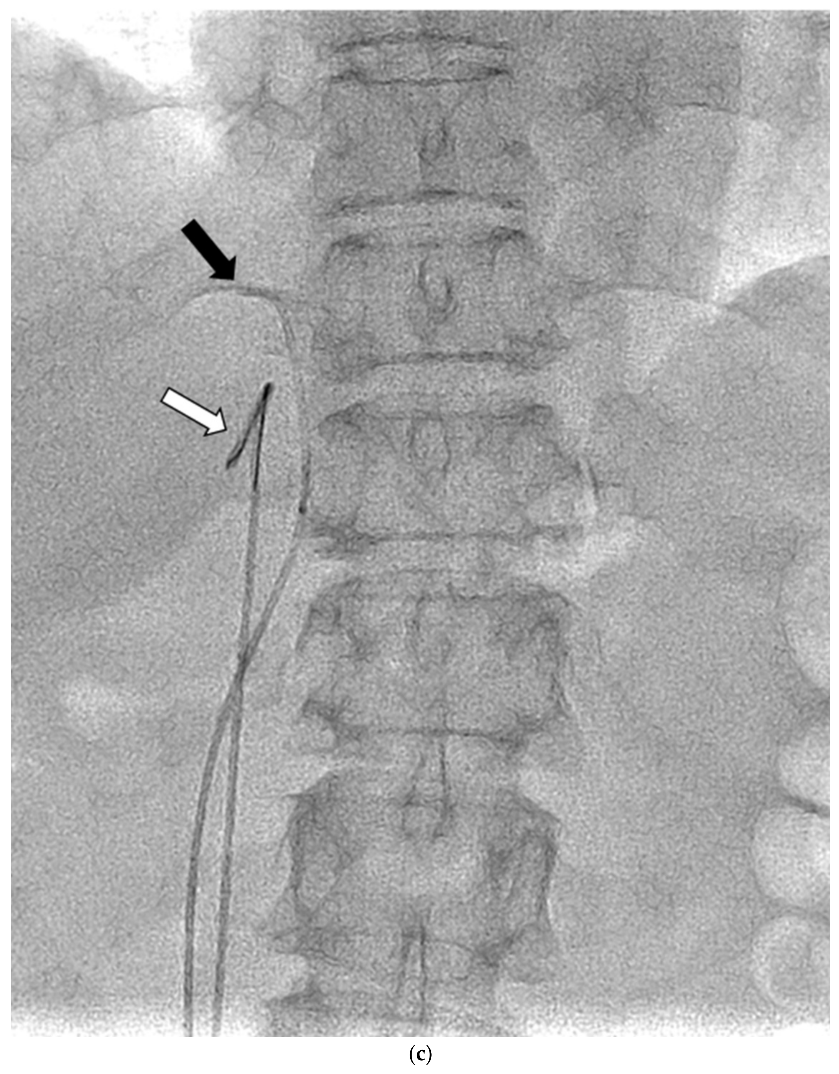 Diagnostics 13 00649 g001c