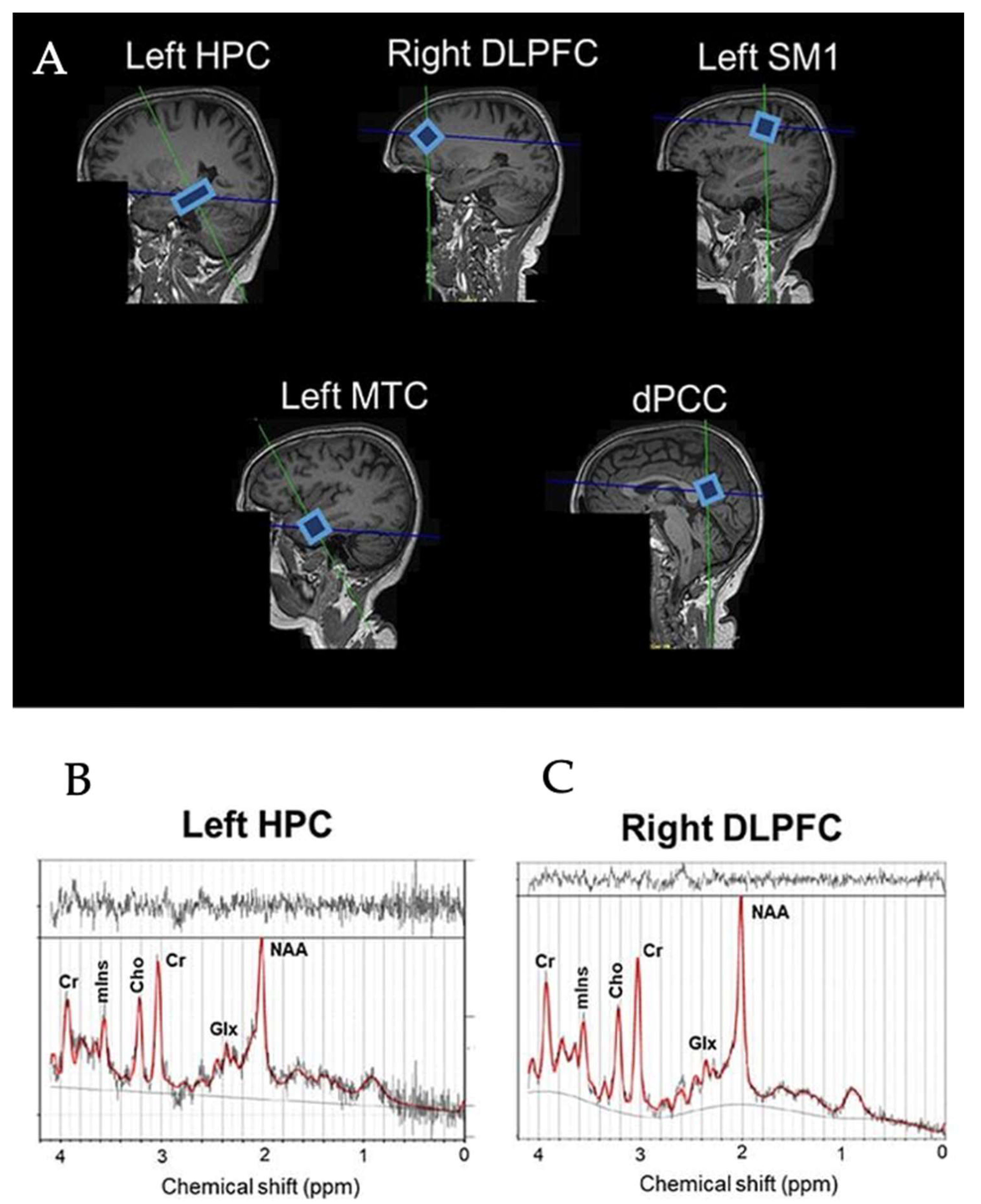 Diagnostics 13 00654 g001