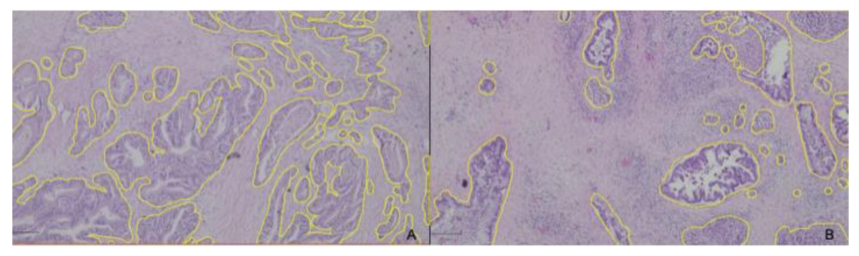 Diagnostics 13 00655 g002