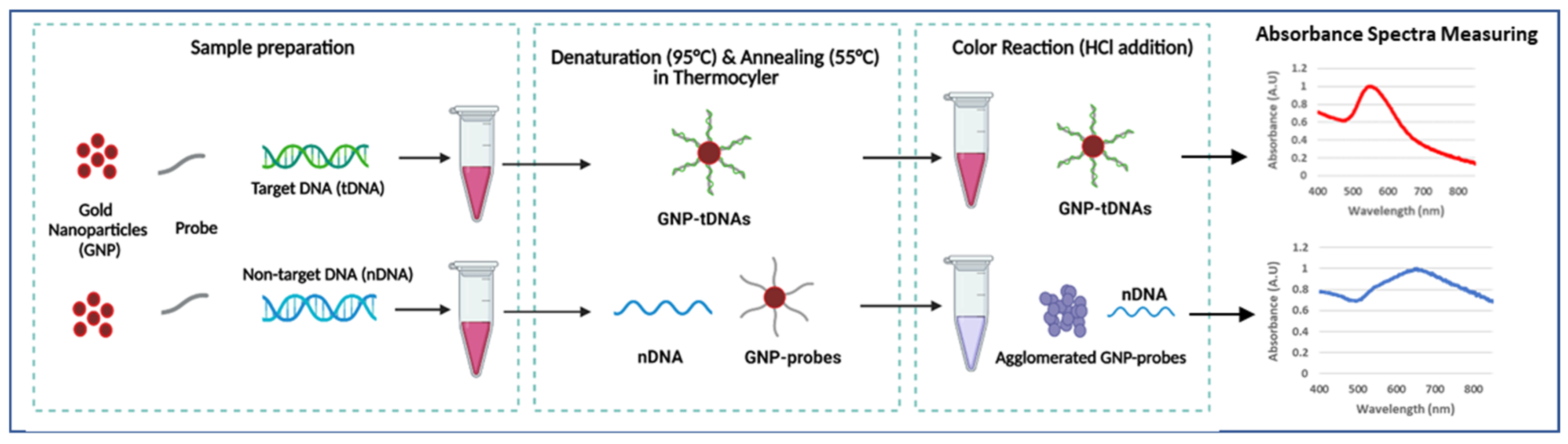 Diagnostics 13 00656 sch001