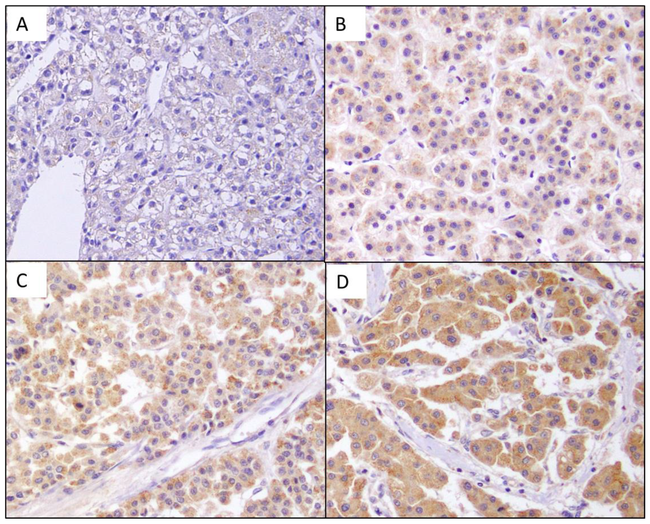 Diagnostics 13 00659 g001