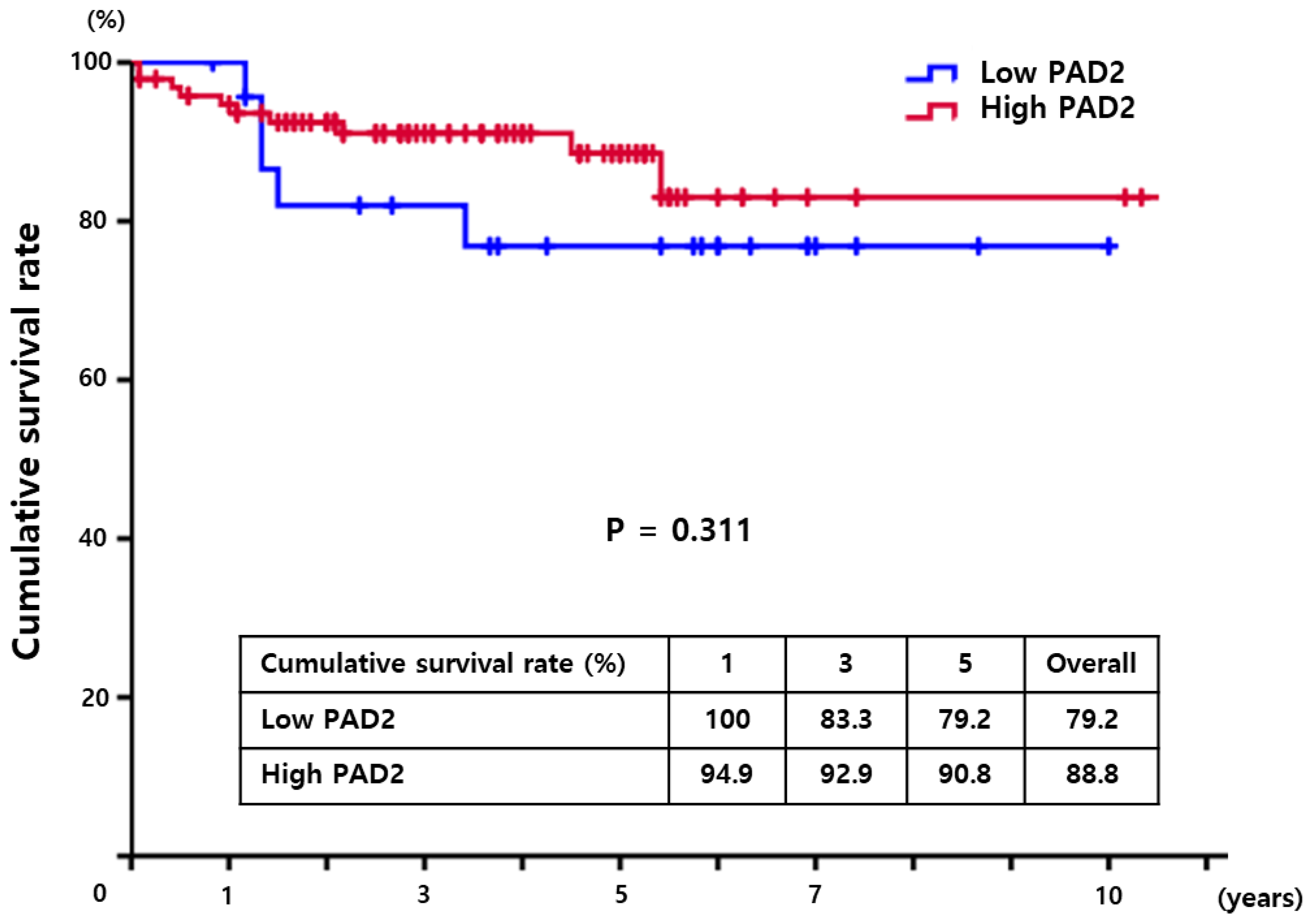 Diagnostics 13 00659 g002