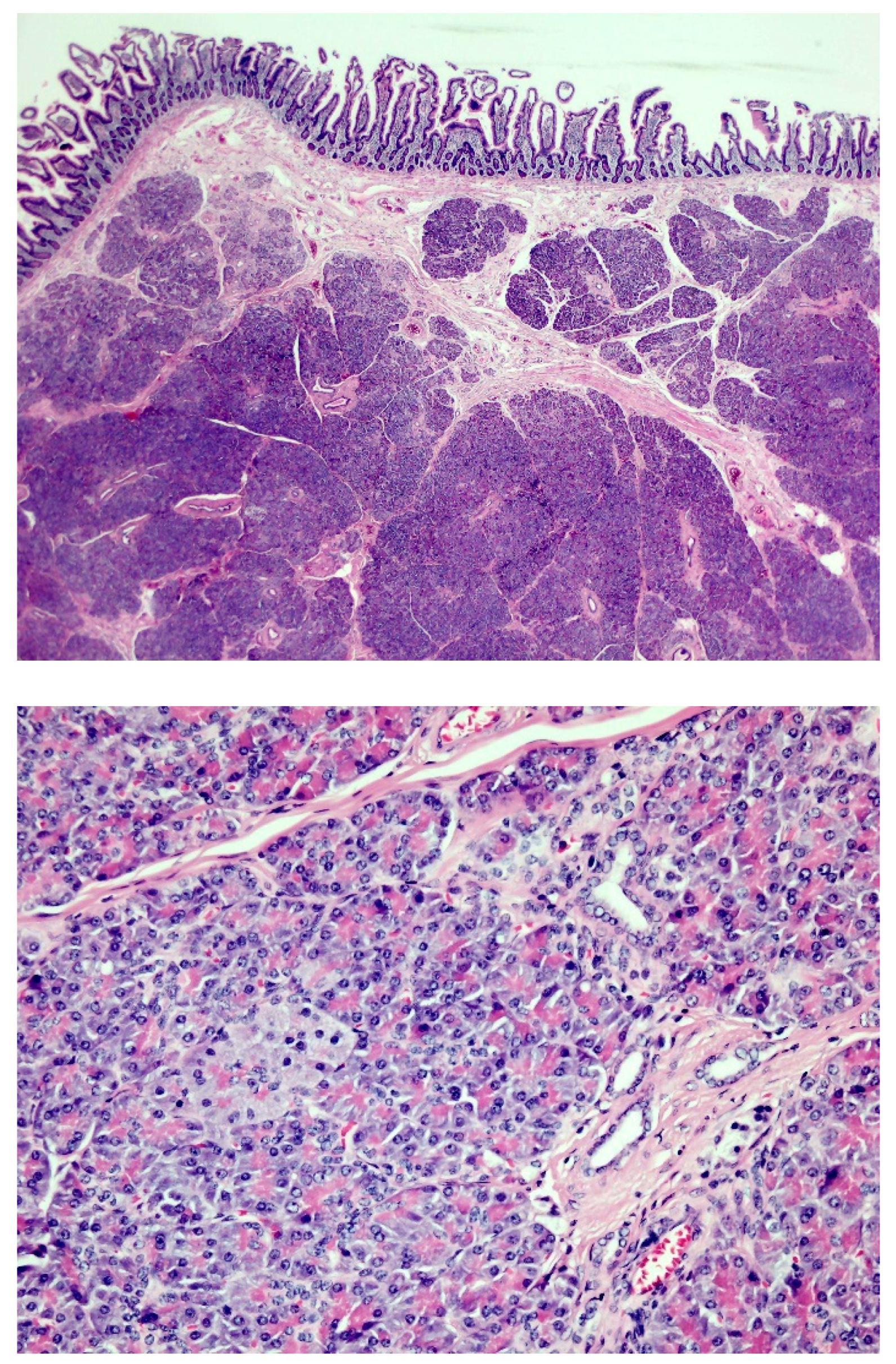 Diagnostics 13 00660 g004