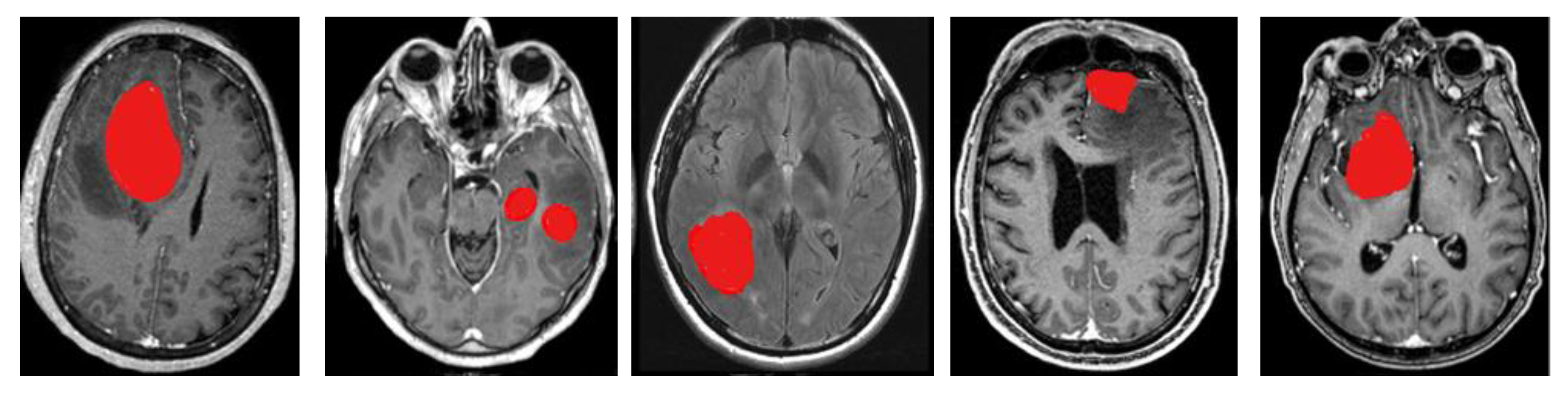 Diagnostics 13 00668 g003