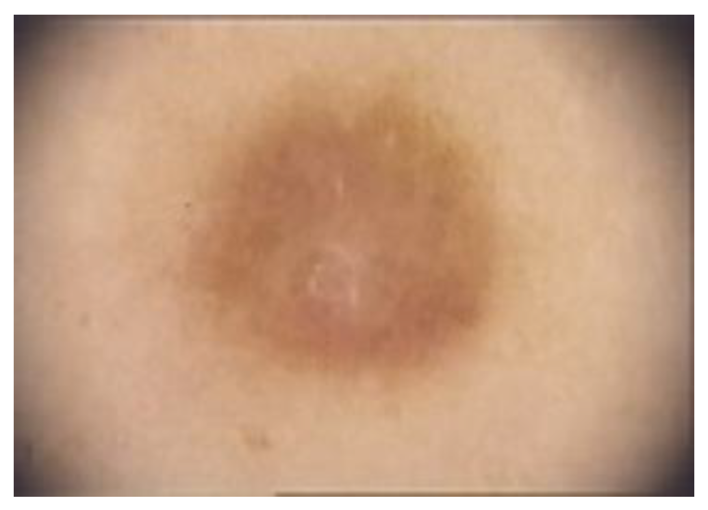 Diagnostics 13 00671 g007