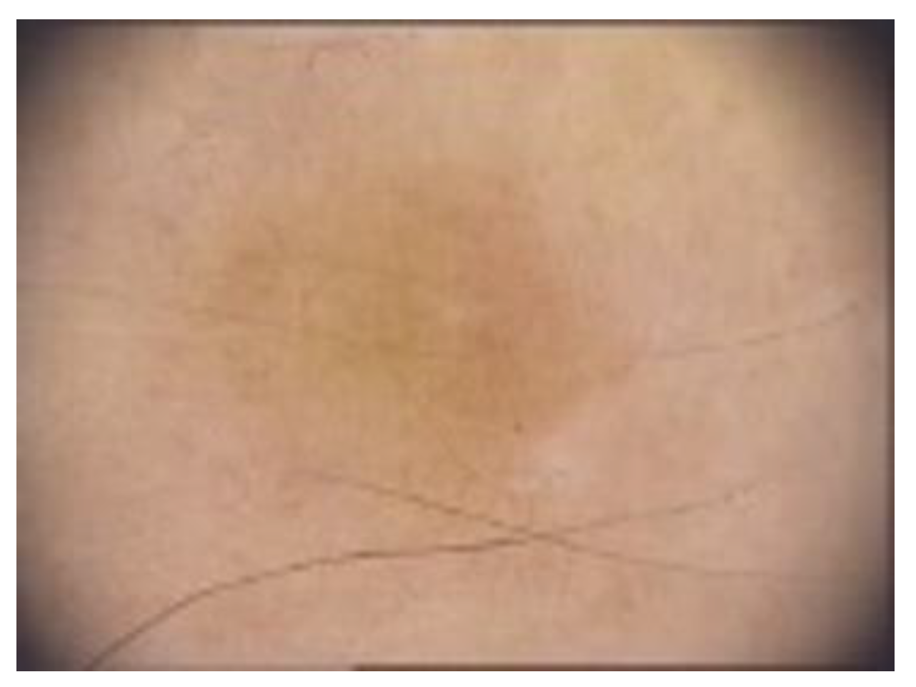 Diagnostics 13 00671 g009