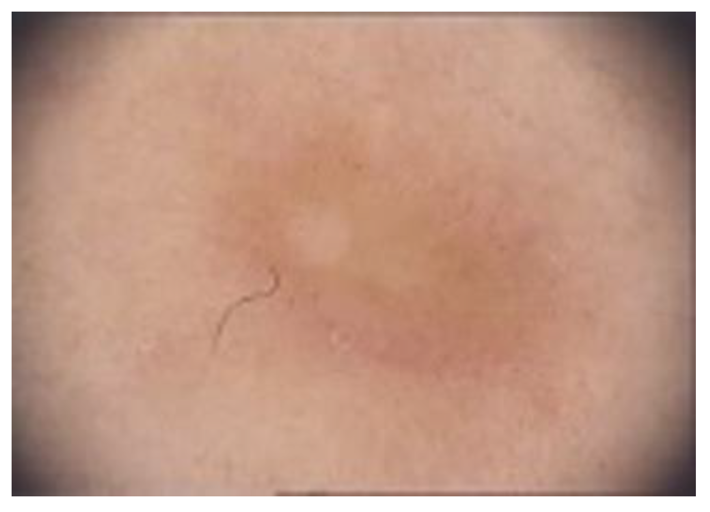 Diagnostics 13 00671 g010