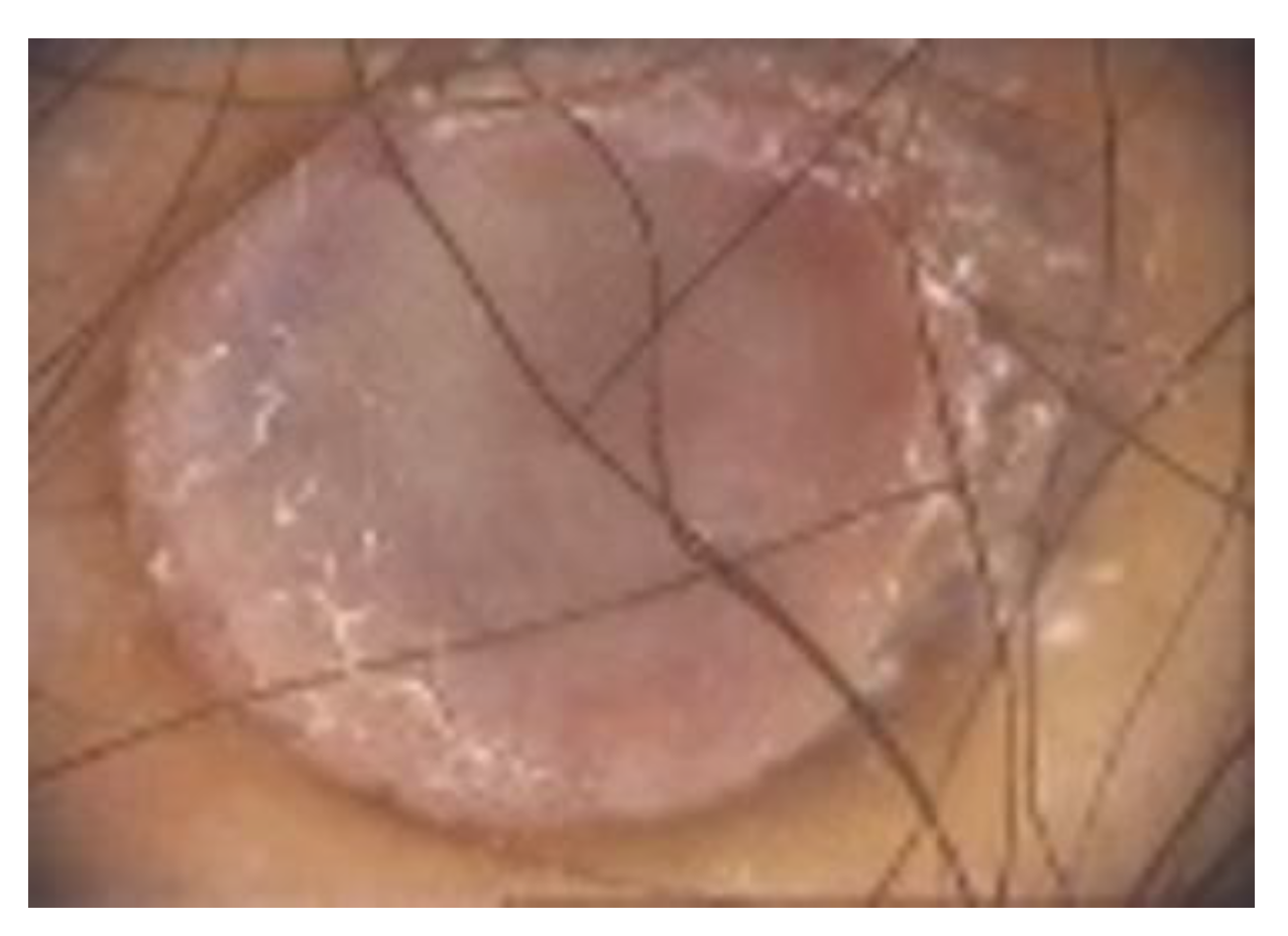 Diagnostics 13 00671 g012