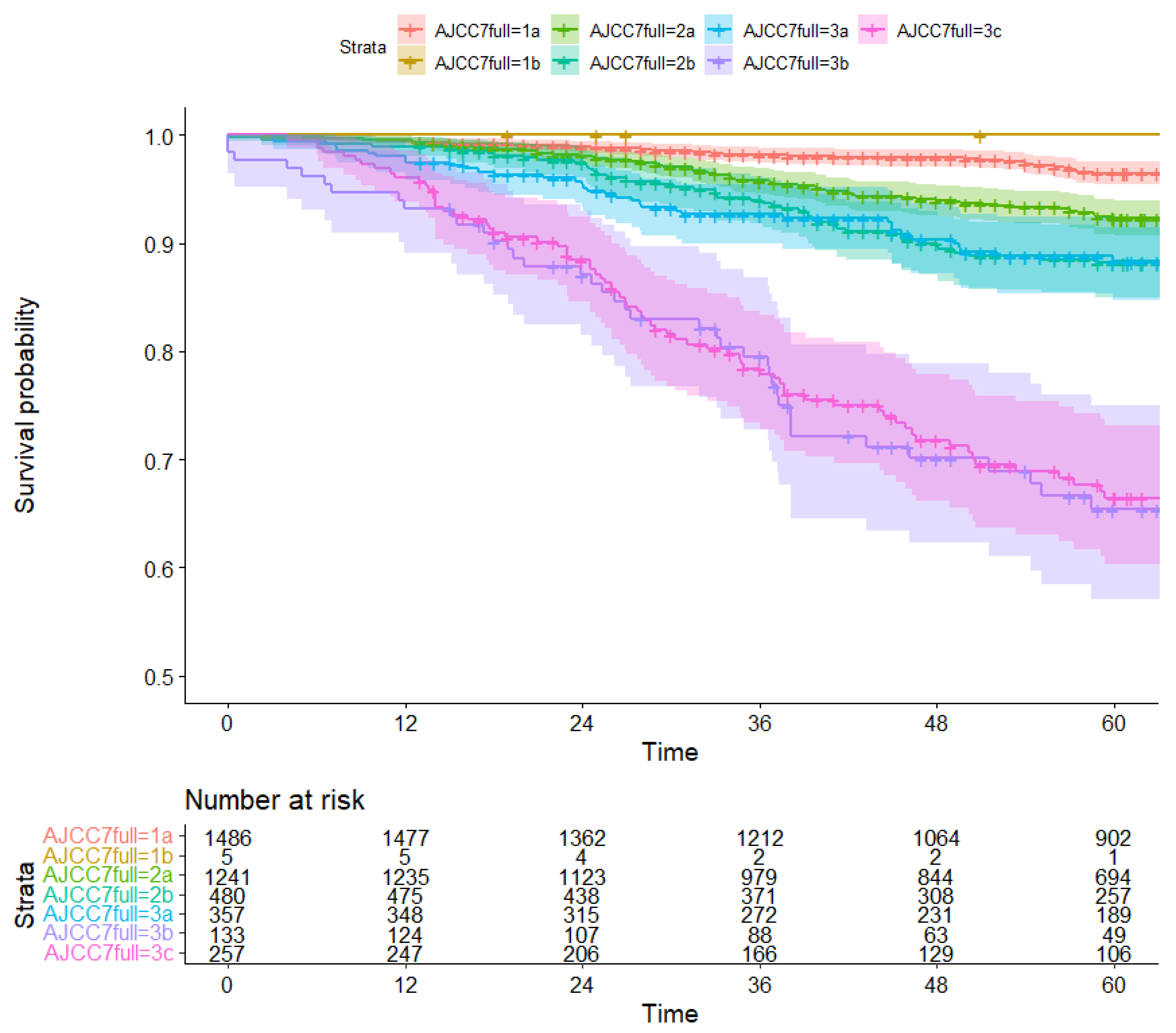Diagnostics 13 00674 g003