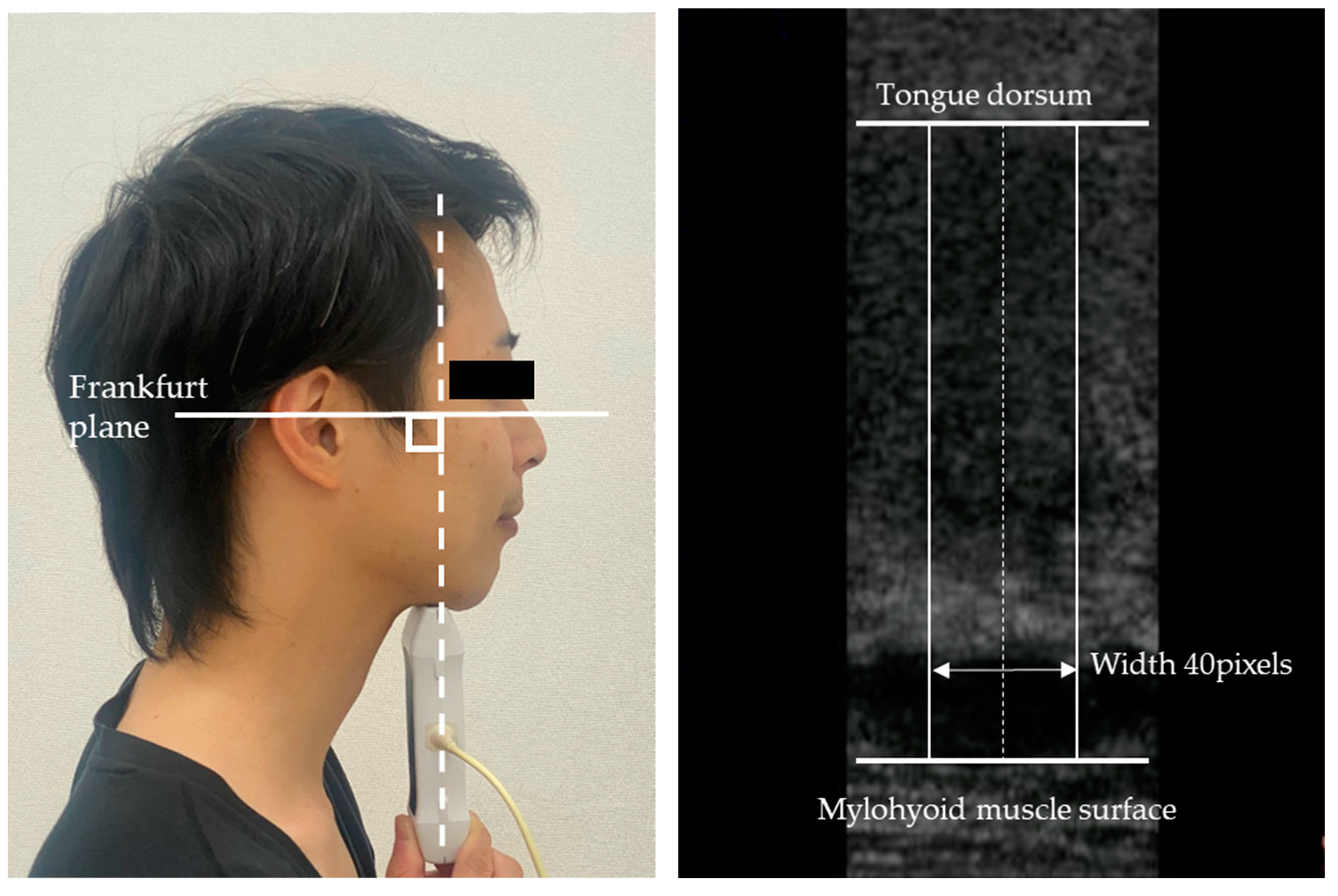 Diagnostics 13 00675 g001