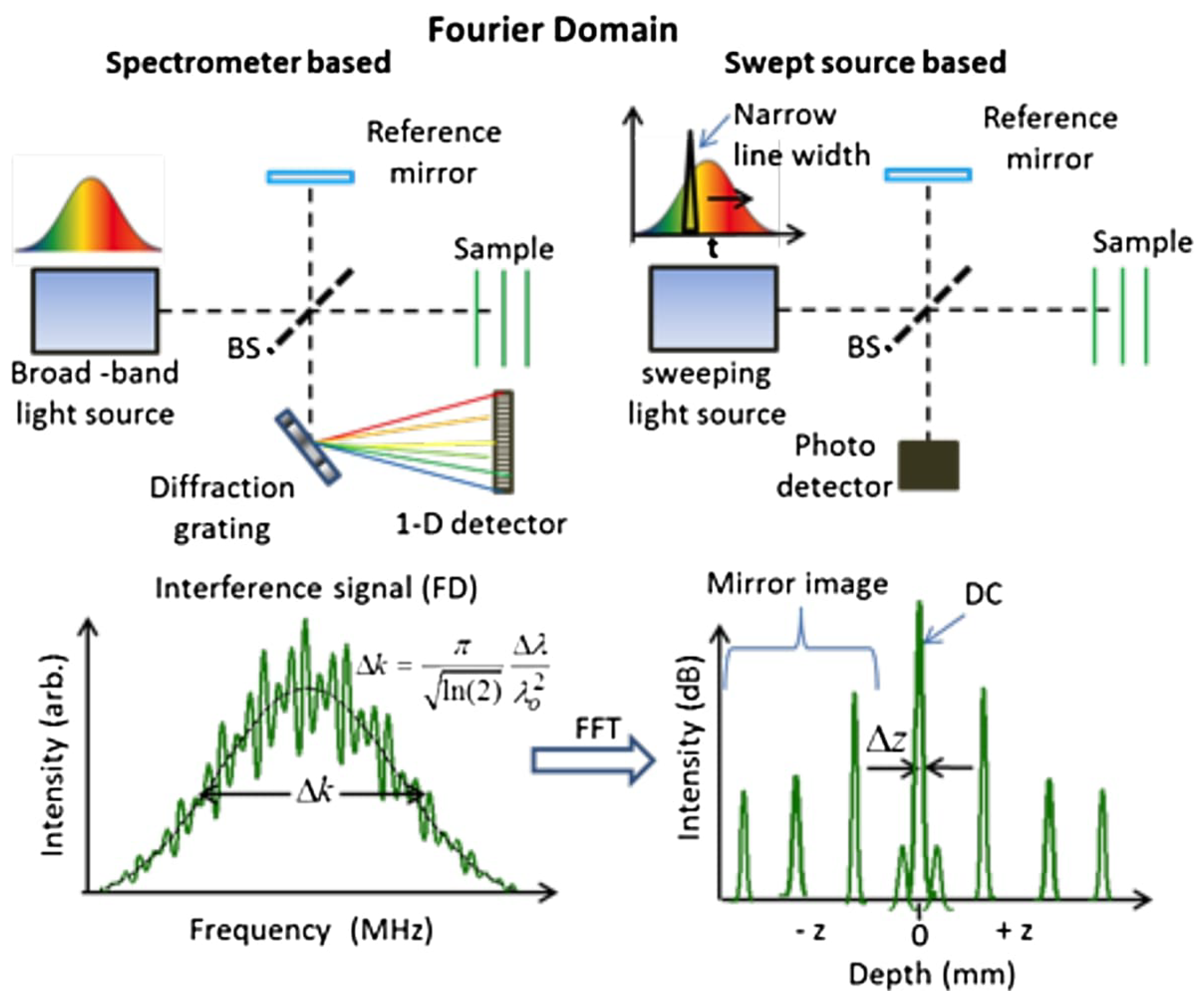 Diagnostics 13 00677 g001