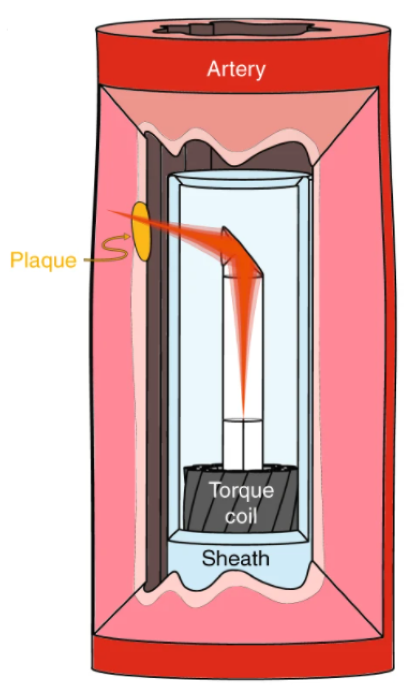Diagnostics 13 00677 g003