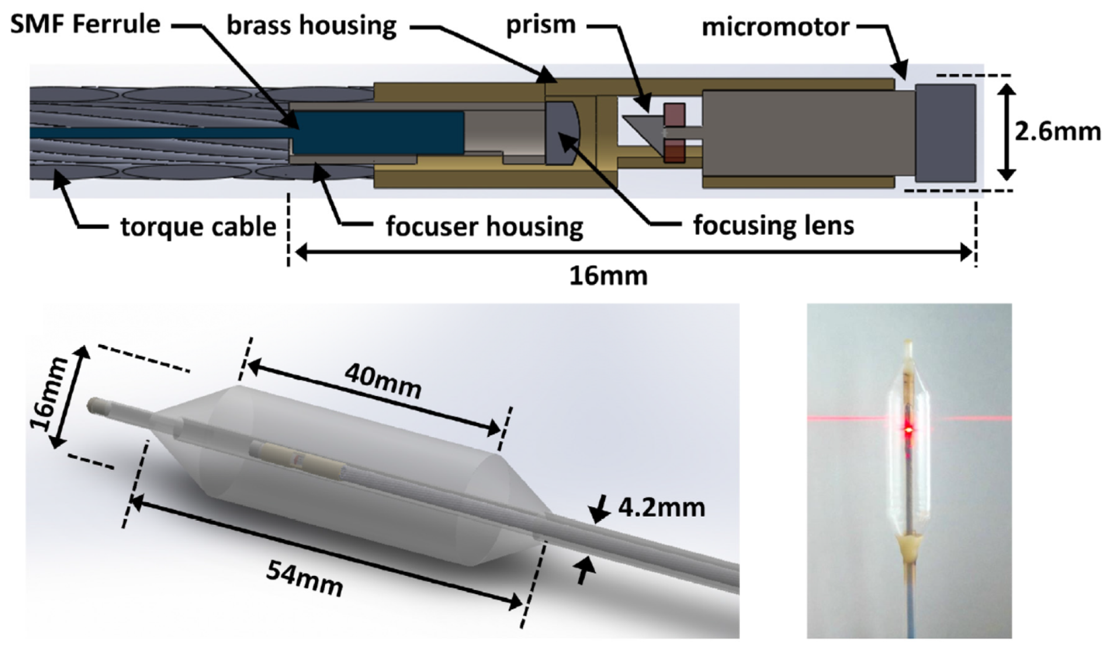 Diagnostics 13 00677 g004