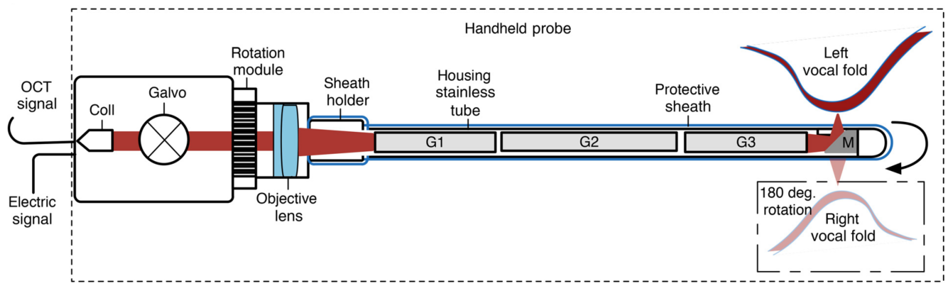 Diagnostics 13 00677 g005