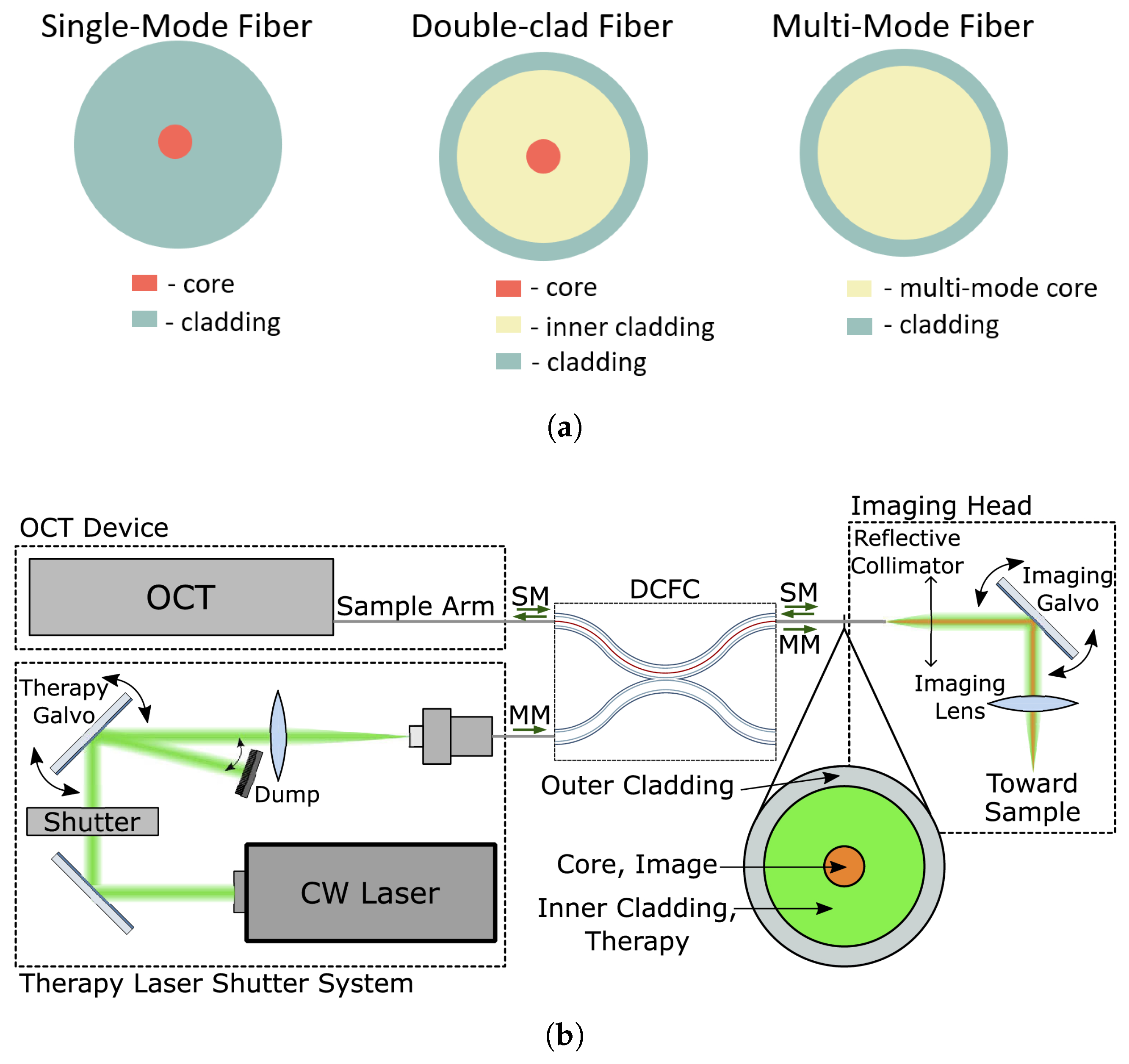 Diagnostics 13 00677 g008