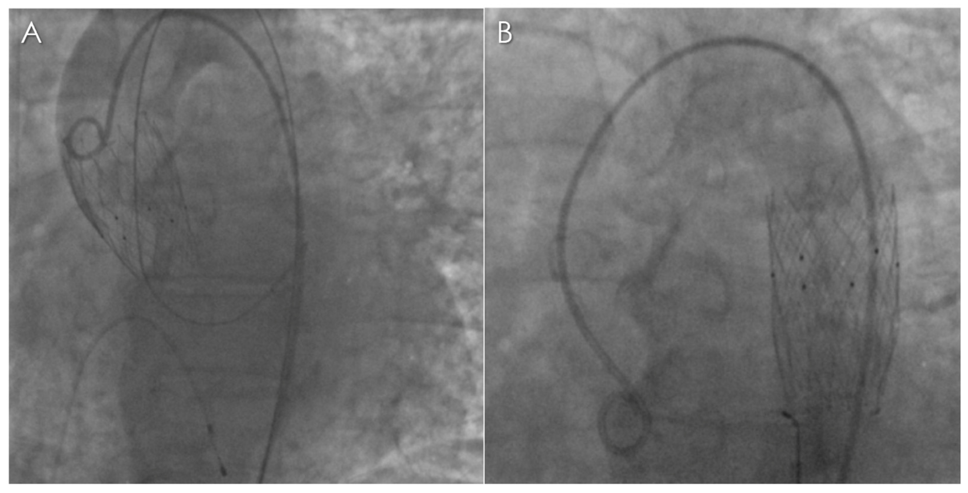 Diagnostics 13 00678 g001